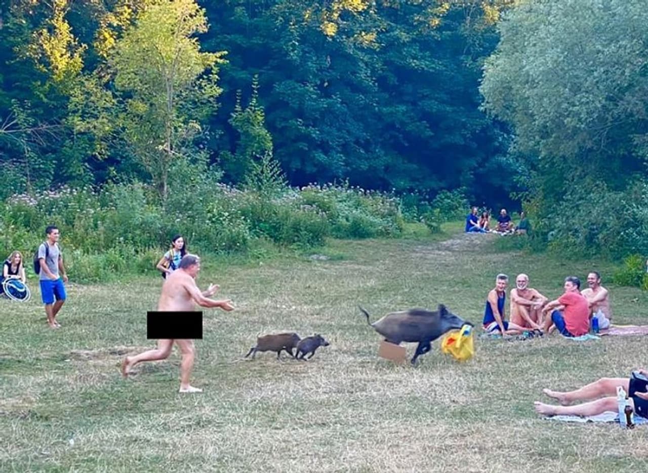 <p>ಜರ್ಮನಿಯ ಪರಿಸರ ಪ್ರೇಮಿಯೊಬ್ಬ ಲ್ಯಾಪ್ಟಾಪ್ ಎತ್ತಿಕೊಂಡು ಹೋದ ಹಂದಿ ಹಿಂದೆ ಬೆತ್ತಲೆಯಾಗಿ ಓಡಿದ ಘಟನೆ ನಡೆದಿದೆ.</p> <p>ಜರ್ಮನಿಯ ಪರಿಸರ ಪ್ರೇಮಿಯೊಬ್ಬ ಲ್ಯಾಪ್ಟಾಪ್ ಎತ್ತಿಕೊಂಡು ಹೋದ ಹಂದಿ ಹಿಂದೆ ಬೆತ್ತಲೆಯಾಗಿ ಓಡಿದ ಘಟನೆ ನಡೆದಿದೆ.</p>