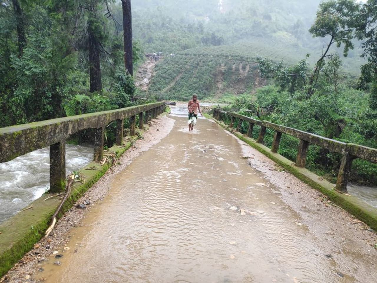 <p><br />വെള്ളിയാഴ്ച വൻ മണ്ണിടിച്ചിലിൽ ദുരന്തമുണ്ടായ ഇടുക്കി രാജമലയിലെ പെട്ടിമുടിയിൽ രണ്ടാം ദിനവും തെരച്ചിൽ പുനരാരംഭിച്ചു. ഇനി ഇവിടെ നിന്ന് കണ്ടെത്താനുള്ളത് എട്ടു കുട്ടികൾ അടക്കം 48 പേരെയാണ്. ഇപ്പോള് മരണം ഇരുപത്തിമൂന്നായി. ആറ് പേരുടെ മൃതദേഹം കൂടി ഇന്ന് കണ്ടെടുത്തു. 15 പേരെ ഇന്നലെ രക്ഷപ്പെടുത്താൻ കഴിഞ്ഞിരുന്നു. </p> <p><br />വെള്ളിയാഴ്ച വൻ മണ്ണിടിച്ചിലിൽ ദുരന്തമുണ്ടായ ഇടുക്കി രാജമലയിലെ പെട്ടിമുടിയിൽ രണ്ടാം ദിനവും തെരച്ചിൽ പുനരാരംഭിച്ചു. ഇനി ഇവിടെ നിന്ന് കണ്ടെത്താനുള്ളത് എട്ടു കുട്ടികൾ അടക്കം 48 പേരെയാണ്. ഇപ്പോള് മരണം ഇരുപത്തിമൂന്നായി. ആറ് പേരുടെ മൃതദേഹം കൂടി ഇന്ന് കണ്ടെടുത്തു. 15 പേരെ ഇന്നലെ രക്ഷപ്പെടുത്താൻ കഴിഞ്ഞിരുന്നു. </p>