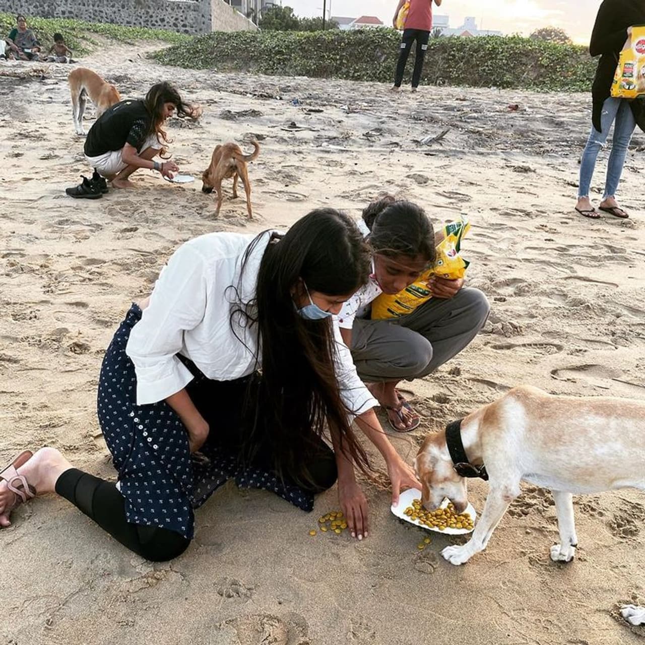 <p>தன் பேருக்கு ஏற்ற போல் அழகாக மட்டும் இல்லை அன்பாகவும் இருக்கும் விஜியின் மகள் லவ்லின்</p> <p>தன் பேருக்கு ஏற்ற போல் அழகாக மட்டும் இல்லை அன்பாகவும் இருக்கும் விஜியின் மகள் லவ்லின்</p>