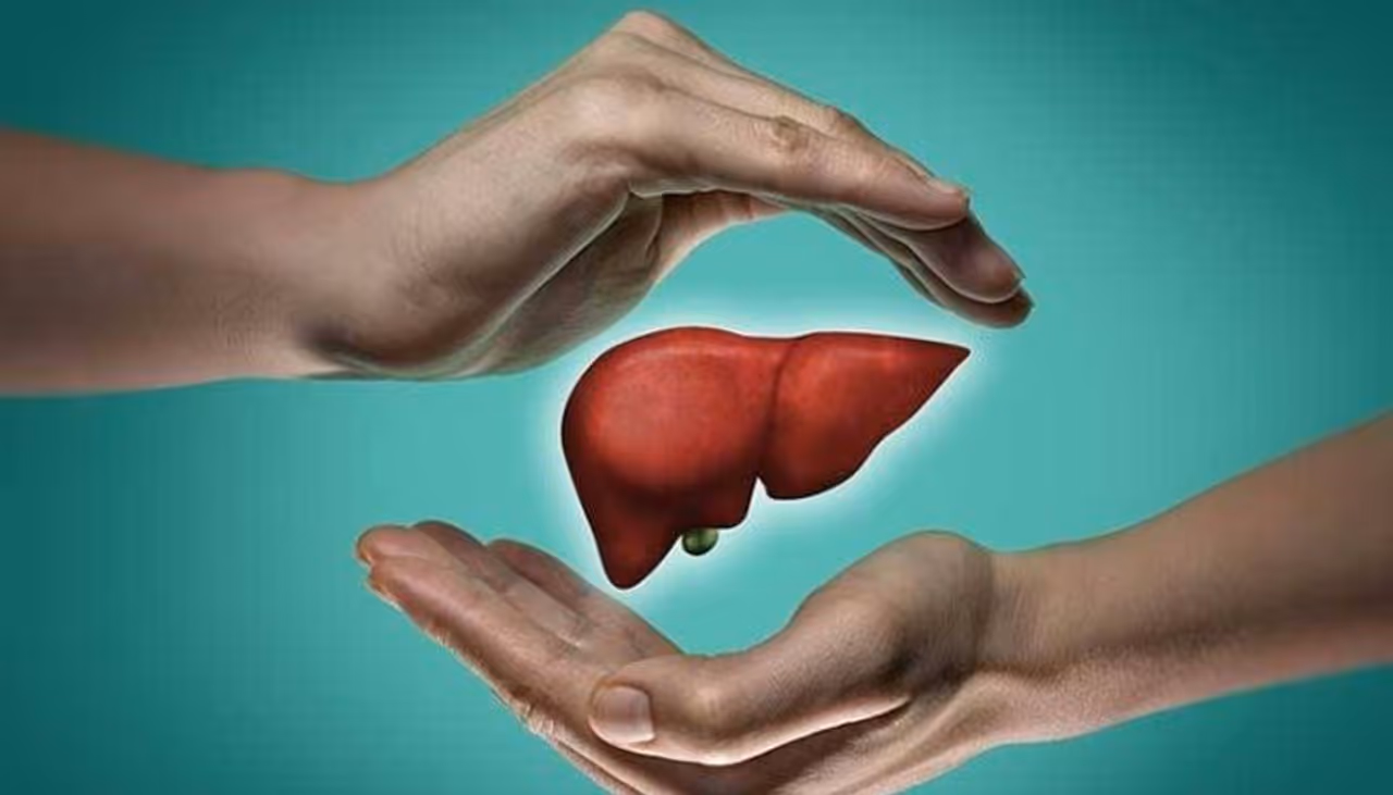 <p>ಮೂಲತಃ, ಇದು ಅಂಗಾಂಶಗಳು, ಕೊಬ್ಬು, ಮೆದುಳು ಮತ್ತು ಕೀಲುಗಳಲ್ಲಿನ ವಿಷವನ್ನು ತೊಡೆದುಹಾಕುವ ಪ್ರಕ್ರಿಯೆ. ಆಹಾರದ ಮರು ಹೊಂದಿಸುವಿಕೆಯಾಗಿದ್ದು ದೇಹದ ನೈಸರ್ಗಿಕ ನಿರ್ವಿಶೀಕರಣ ಪ್ರಕ್ರಿಯೆಯನ್ನು ಉತ್ತೇಜಿಸುತ್ತದೆ ಮತ್ತು ಹೆಚ್ಚಿಸುತ್ತದೆ. ಇದು ದೇಹದ ಹಾರ್ಮೋನುಗಳು ಮತ್ತು ದ್ರವ ಸಮತೋಲನವನ್ನು ಪುನಾಸ್ಥಾಪಿಸಲು, ಜೀವಕೋಶಗಳಿಗೆ ಶಕ್ತಿ ತುಂಬಲು ಮತ್ತು ಚಯಾಪಚಯವನ್ನು ಹೆಚ್ಚಿಸಲು ಸಹಾಯ ಮಾಡುತ್ತದೆ.</p> <p>ಮೂಲತಃ, ಇದು ಅಂಗಾಂಶಗಳು, ಕೊಬ್ಬು, ಮೆದುಳು ಮತ್ತು ಕೀಲುಗಳಲ್ಲಿನ ವಿಷವನ್ನು ತೊಡೆದುಹಾಕುವ ಪ್ರಕ್ರಿಯೆ. ಆಹಾರದ ಮರು ಹೊಂದಿಸುವಿಕೆಯಾಗಿದ್ದು ದೇಹದ ನೈಸರ್ಗಿಕ ನಿರ್ವಿಶೀಕರಣ ಪ್ರಕ್ರಿಯೆಯನ್ನು ಉತ್ತೇಜಿಸುತ್ತದೆ ಮತ್ತು ಹೆಚ್ಚಿಸುತ್ತದೆ. ಇದು ದೇಹದ ಹಾರ್ಮೋನುಗಳು ಮತ್ತು ದ್ರವ ಸಮತೋಲನವನ್ನು ಪುನಾಸ್ಥಾಪಿಸಲು, ಜೀವಕೋಶಗಳಿಗೆ ಶಕ್ತಿ ತುಂಬಲು ಮತ್ತು ಚಯಾಪಚಯವನ್ನು ಹೆಚ್ಚಿಸಲು ಸಹಾಯ ಮಾಡುತ್ತದೆ.</p>