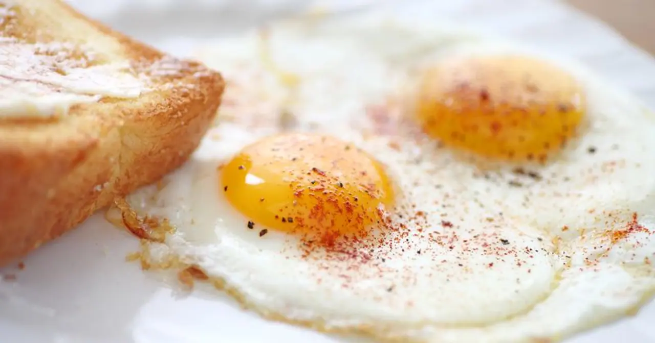 <p>ಸುಲಭವಾಗಿ ಅಡುಗೆ ಮಾಡಿ ತಿನ್ನಬಹುದಾದ ಮತ್ತು ಹೆಚ್ಚು ಪೌಷ್ಟಿಕಾಂಶವಿರುವ ಮೊಟ್ಟೆ ಬಹಳಷ್ಟು ಜನರಿಗೆ ಫೇವರೇಟ್.</p> <p>ಸುಲಭವಾಗಿ ಅಡುಗೆ ಮಾಡಿ ತಿನ್ನಬಹುದಾದ ಮತ್ತು ಹೆಚ್ಚು ಪೌಷ್ಟಿಕಾಂಶವಿರುವ ಮೊಟ್ಟೆ ಬಹಳಷ್ಟು ಜನರಿಗೆ ಫೇವರೇಟ್.</p>