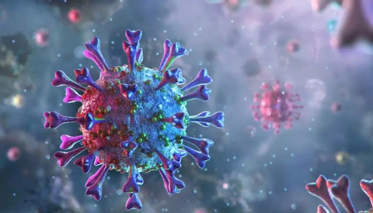 <p>The number of COVID 19 infections breached the 2 lakh mark in Karnataka on Thursday (August 13) as the state reported 6.706 new cases of coronavirus and 103 related fatalities, taking the death toll to 3,613.<br />&nbsp;</p>