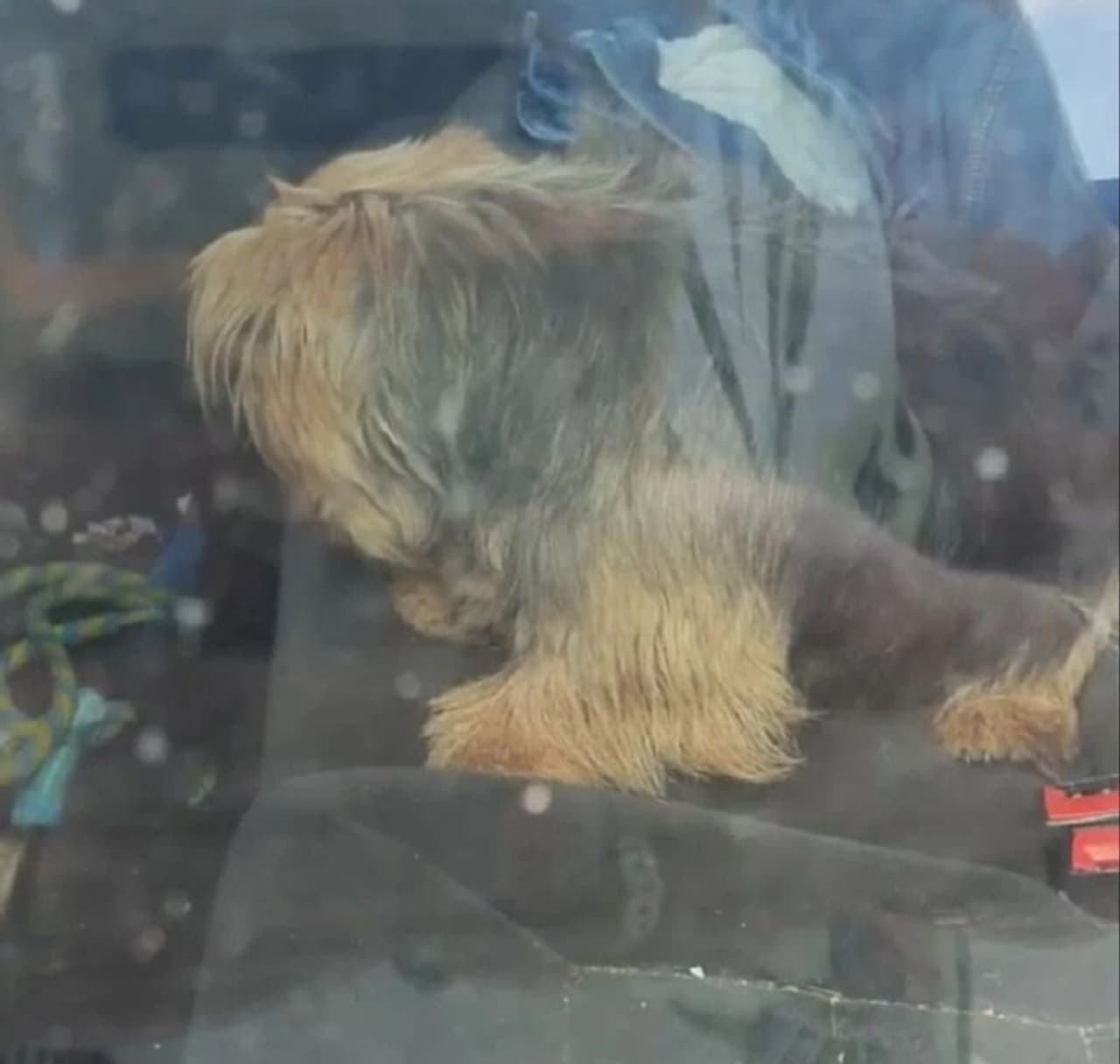 <p>34 ಡಿಗ್ರಿ ಸೆಲ್ಶಿಯಸ್ ಉಷ್ಣಾಂಶದಲ್ಲಿ ಕಾರಿನೊಳಗೆ ಸಿಕ್ಕಿಹಾಕಿಕೊಂಡಿದ್ದ ನಾಯಿಯನ್ನು ವ್ಯಕ್ತಿಯೊಬ್ಬ ರಕ್ಷಿಸಿದ್ದಾನೆ.</p>