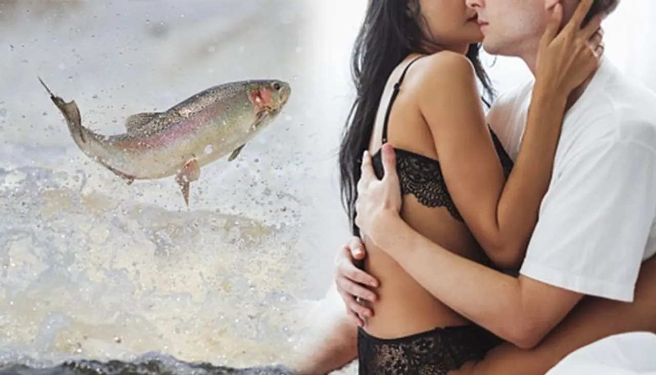 <p>New research shows that by adding seafood to their diets, couples could get their 'sex lives' and fertility back in the swim of things.<br /> </p> <p>New research shows that by adding seafood to their diets, couples could get their 'sex lives' and fertility back in the swim of things.<br /> </p>