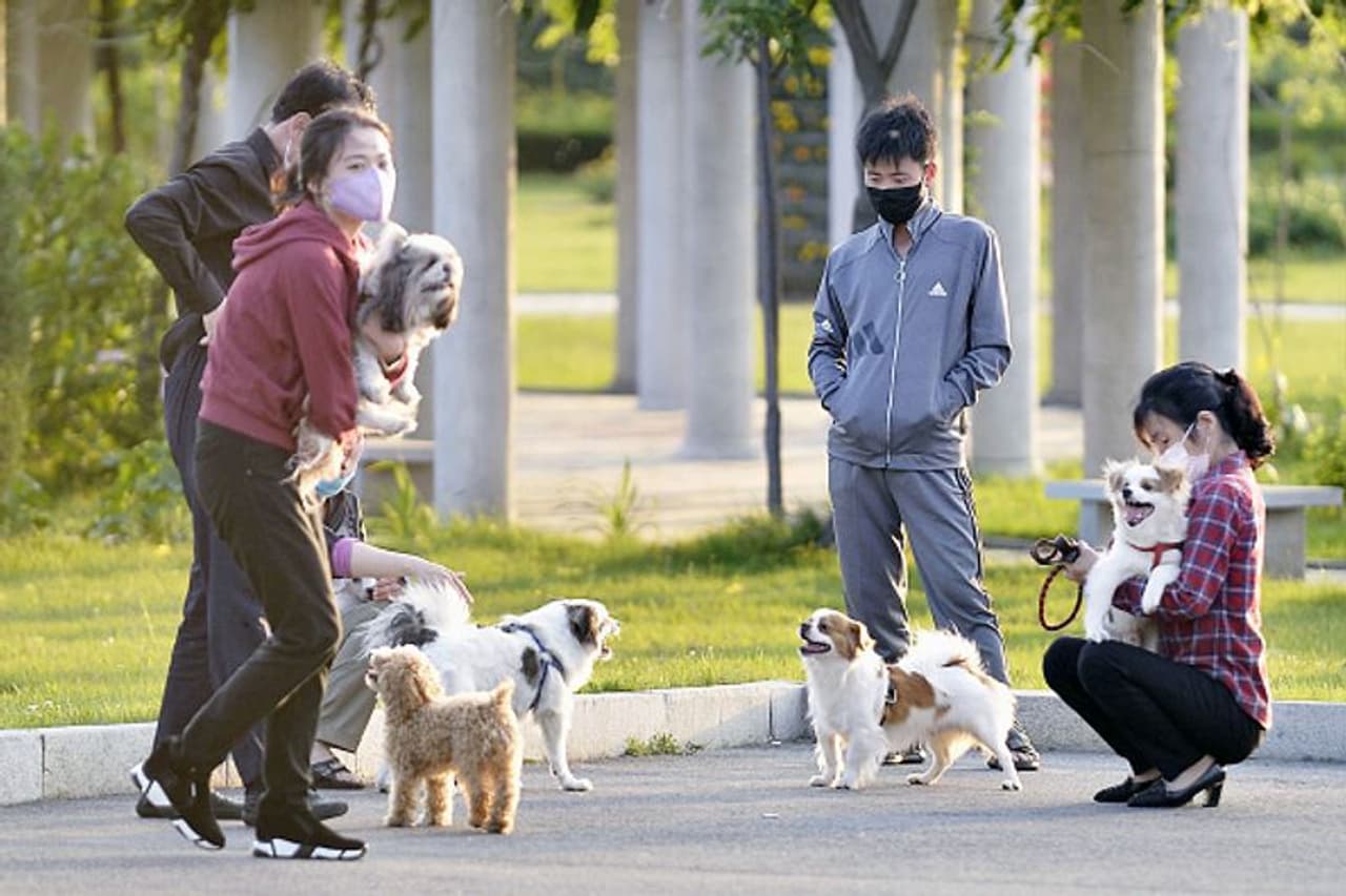 <p>ಹೌದು ವಿಶ್ವದ ದೊಡ್ಡಣ್ಣ ಅಮೆರಿಕವನ್ನೂ ಹೆದರುವಂತೆ ಮಾಡಿರುವ ಸರ್ವಾಧಿಕಾರಿ ಕಿಮ್ ಜಾಂಗ್ ಉನ್ ತನ್ನ ದೇಶದ ನಾಗರರಿಕರ ಬಳಿ ಮನೆಯಲ್ಲಿ ಸಾಕಿರುವ ನಾಯಿಗಳನ್ನು ಸರ್ಕಾರಕ್ಕೆ ಒಪ್ಪಿಸುವಂತೆ ಆದೇಶಿಸಿದ್ದಾರೆ. </p><p> </p> <p>ಹೌದು ವಿಶ್ವದ ದೊಡ್ಡಣ್ಣ ಅಮೆರಿಕವನ್ನೂ ಹೆದರುವಂತೆ ಮಾಡಿರುವ ಸರ್ವಾಧಿಕಾರಿ ಕಿಮ್ ಜಾಂಗ್ ಉನ್ ತನ್ನ ದೇಶದ ನಾಗರರಿಕರ ಬಳಿ ಮನೆಯಲ್ಲಿ ಸಾಕಿರುವ ನಾಯಿಗಳನ್ನು ಸರ್ಕಾರಕ್ಕೆ ಒಪ್ಪಿಸುವಂತೆ ಆದೇಶಿಸಿದ್ದಾರೆ. </p><p> </p>