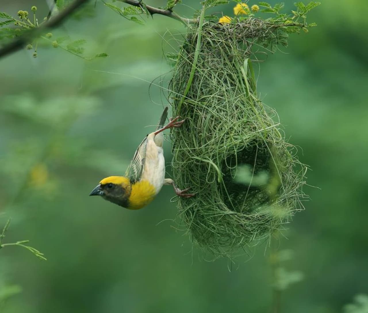 <p>ಫೋಟೊಗ್ರಾಫರ್ ರಾಜು ಡವಳಗಿ ತೆಗೆದ ಫೋಟೋವೊಂದು ಈಗ ಎಲ್ಲೆಡೆ ಮೆಚ್ಚುಗೆಗೆ ಪಾತ್ರವಾಗಿದೆ. </p> <p>ಫೋಟೊಗ್ರಾಫರ್ ರಾಜು ಡವಳಗಿ ತೆಗೆದ ಫೋಟೋವೊಂದು ಈಗ ಎಲ್ಲೆಡೆ ಮೆಚ್ಚುಗೆಗೆ ಪಾತ್ರವಾಗಿದೆ. </p>