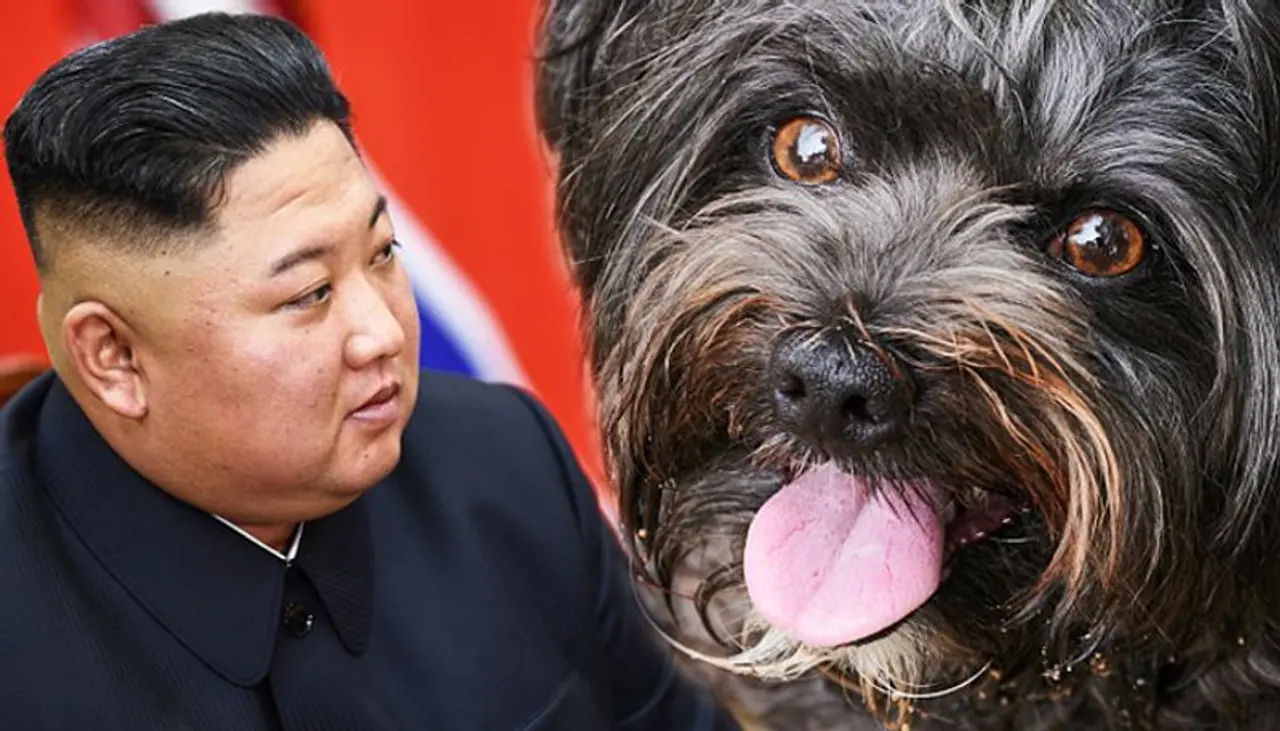 <p>As per reports, North Korean Supreme Leader Kim Jong Un has ordered citizens to hand over their pet dogs as country struggles with food shortages amid the coronavirus pandemic.</p>