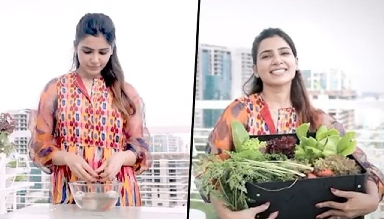 <p>Sultry siren Samantha Akkineni made the most out of lockdown by inculcating many new changes in her lifestyle. From rooftop gardening to learning how to cook, Sam amazed her fans.</p>