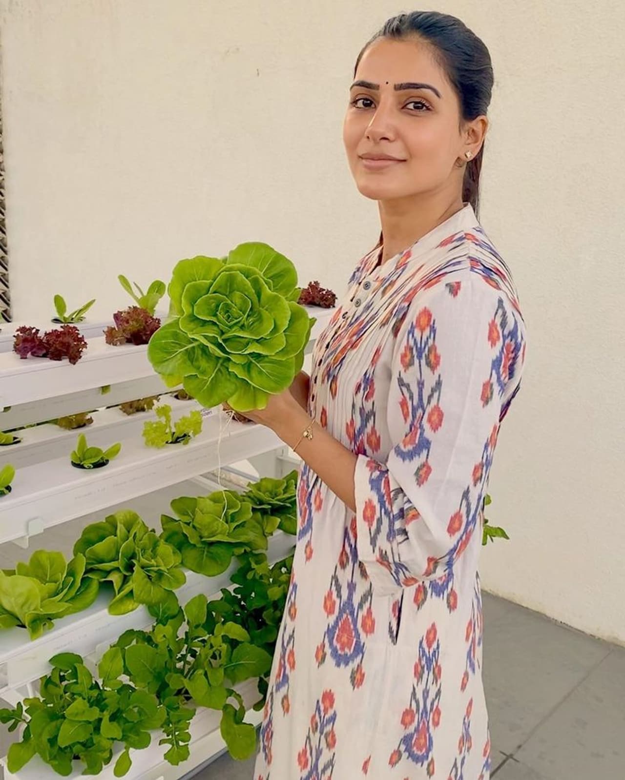 <p>ஊரடங்கு காரணமாக வீட்டில் இருக்கும் நடிகை சமந்தா, தனது வீட்டின் மொட்டை மாடியில் காய்கறி தோட்டம் அமைத்து விவசாயத்தில் இறங்கியுள்ளார்.</p> <p>ஊரடங்கு காரணமாக வீட்டில் இருக்கும் நடிகை சமந்தா, தனது வீட்டின் மொட்டை மாடியில் காய்கறி தோட்டம் அமைத்து விவசாயத்தில் இறங்கியுள்ளார்.</p>