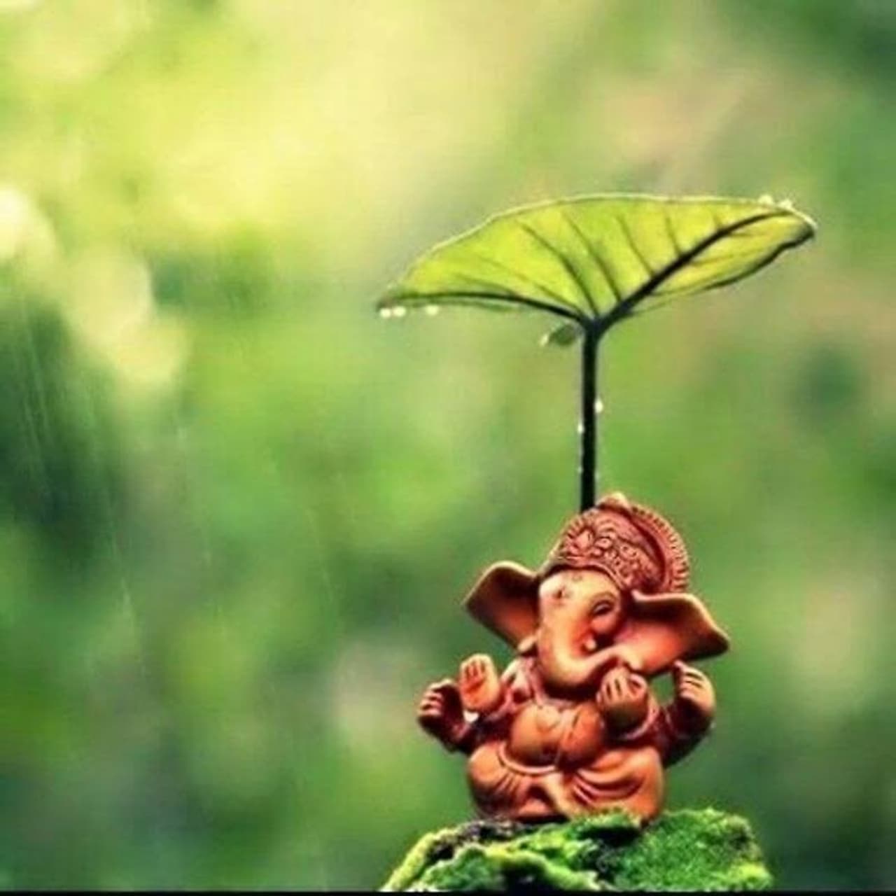 <p>அழகையே இலையை குடையாய் பிடித்து அமர்ந்திருக்கும் விநாயகர்&nbsp;</p>