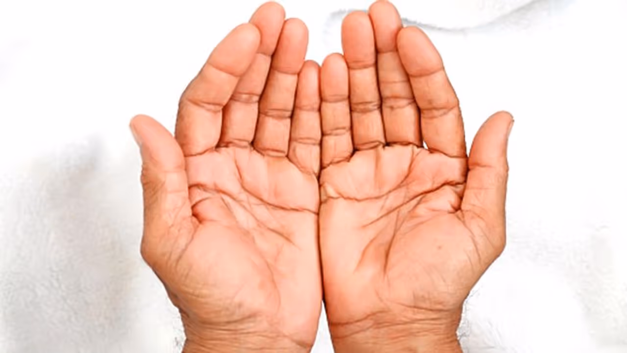 <p>ಅಂಗೈಯಲ್ಲಿ ಅನೇಕ ರೀತಿಯ ಗೆರೆ ಮತ್ತು ಗುರುತುಗಳಿರುತ್ತವೆ. ಹಸ್ತ ಸಾಮುದ್ರಿಕ ಪ್ರಕಾರ, ಇವೆಲ್ಲವೂ ವಿಭಿನ್ನ ಪ್ರಾಮುಖ್ಯತೆಯನ್ನು ಹೊಂದಿವೆ. ಈ ಸಾಲುಗಳಲ್ಲಿ, ವಿದೇಶಿ ಪ್ರಯಾಣಕ್ಕೂ ಒಂದು ಸಾಲಿದೆ. ಅಂಗೈಯಲ್ಲಿ ಅನೇಕ ಸ್ಥಳಗಳಲ್ಲಿ ಪ್ರಯಾಣದ ಮಾರ್ಗ ರೂಪುಗೊಳ್ಳುತ್ತದೆ. ಹಸ್ತಸಾಮುದ್ರಿಕೆ ಪ್ರಕಾರ, ಅಂತಹ ವ್ಯಕ್ತಿ ಅನೇಕ ಬಾರಿ ವಿದೇಶ ಪ್ರವಾಸ ಮಾಡುತ್ತಾನೆ. </p> <p>ಅಂಗೈಯಲ್ಲಿ ಅನೇಕ ರೀತಿಯ ಗೆರೆ ಮತ್ತು ಗುರುತುಗಳಿರುತ್ತವೆ. ಹಸ್ತ ಸಾಮುದ್ರಿಕ ಪ್ರಕಾರ, ಇವೆಲ್ಲವೂ ವಿಭಿನ್ನ ಪ್ರಾಮುಖ್ಯತೆಯನ್ನು ಹೊಂದಿವೆ. ಈ ಸಾಲುಗಳಲ್ಲಿ, ವಿದೇಶಿ ಪ್ರಯಾಣಕ್ಕೂ ಒಂದು ಸಾಲಿದೆ. ಅಂಗೈಯಲ್ಲಿ ಅನೇಕ ಸ್ಥಳಗಳಲ್ಲಿ ಪ್ರಯಾಣದ ಮಾರ್ಗ ರೂಪುಗೊಳ್ಳುತ್ತದೆ. ಹಸ್ತಸಾಮುದ್ರಿಕೆ ಪ್ರಕಾರ, ಅಂತಹ ವ್ಯಕ್ತಿ ಅನೇಕ ಬಾರಿ ವಿದೇಶ ಪ್ರವಾಸ ಮಾಡುತ್ತಾನೆ. </p>