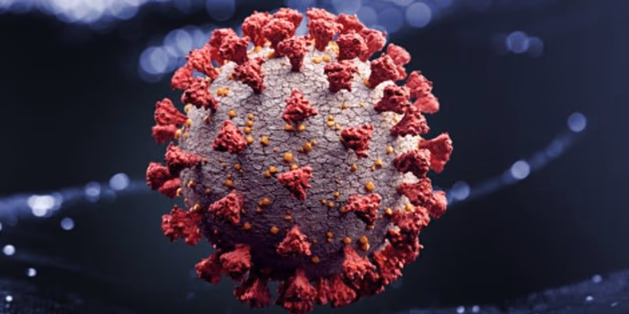 <p>According to the state health bulletin, 541 COVID 19 cases were reported in Kolkata in a single day. The total number of deaths in the city so far stood at 1,203.</p><p> </p> <p>According to the state health bulletin, 541 COVID 19 cases were reported in Kolkata in a single day. The total number of deaths in the city so far stood at 1,203.</p><p> </p>