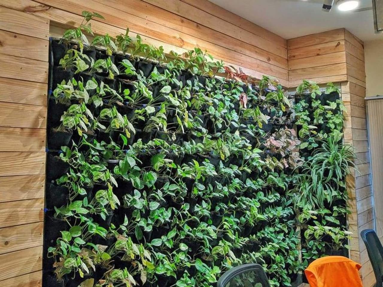 <p>വീട്ടിനകത്ത് ചെടികള്‍ വളര്‍ത്താന്‍ താല്പര്യമുള്ളവര്‍ക്ക് പലപ്പോഴും സ്ഥലപരിമിതിയായിരിക്കും വലിയ പ്രശ്നം. എന്നാല്‍, എത്ര ചെറിയ വീടായാലും പരമാവധി ഭംഗിയായി സ്ഥലം പ്രയോജനപ്പെടുത്തി നല്ലൊരു തോട്ടം തന്നെ വീട്ടില്‍ നിര്‍മിക്കാം.&nbsp;</p>