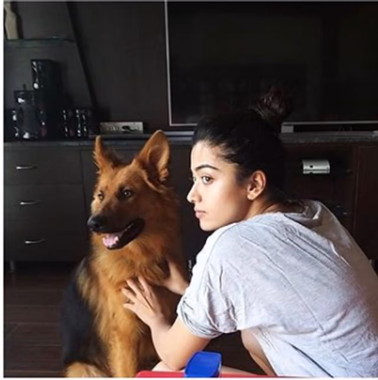 <p>ಮನೆಯಲ್ಲಿರುವ ಸಾಕುಪ್ರಾಣಿಗಳನ್ನು ಪ್ರೀತಿಯಿಂದ ಕಾಣಿ, ಏಕೆಂದರೆ ಅವುಗಳಿಗೆ ನೀವೇ ಜಗತ್ತು ಎನ್ನುತ್ತಾರೆ ರಶ್ಮಿಕಾ ಮಂದಣ್ಣ.</p>