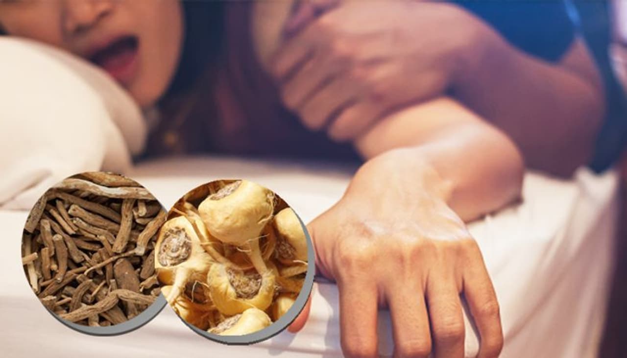 <p>Diet and exercise offer the best solutions for stimulating sexual desire; yet some herbal tools may also give support. When you need a little increase, turn to these seven herbs for help.</p> <p>Diet and exercise offer the best solutions for stimulating sexual desire; yet some herbal tools may also give support. When you need a little increase, turn to these seven herbs for help.</p>