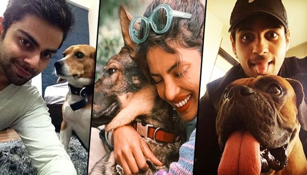 <p>Indian celebs are fond of their pets. From Instagram updates to numerous photoshoots with their pets, there's no end to showing the love they have for their darling pooches. Here are 15 photos of some of the celebs with their cute pets:</p>