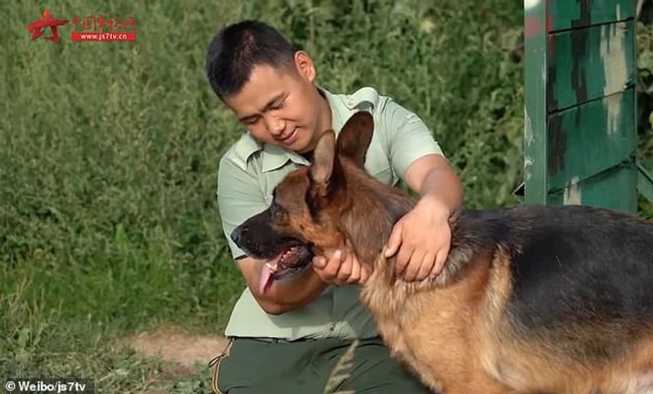 <p>വിരമിച്ച സർജന്റ് ഷാങ് വെയ് ചൈനയുടെ വടക്കുപടിഞ്ഞാറൻ മേഖലയായ സിൻജിയാങ്ങിലെ ബാരക്കുകളിൽ നിന്ന് പിരിഞ്ഞ് പോകുമ്പോഴുള്ള വീഡിയോയാണ് ഇതെന്ന് ചൈനീസ് മാധ്യമങ്ങൾ റിപ്പോർട്ട് ചെയ്തു.</p> <p>വിരമിച്ച സർജന്റ് ഷാങ് വെയ് ചൈനയുടെ വടക്കുപടിഞ്ഞാറൻ മേഖലയായ സിൻജിയാങ്ങിലെ ബാരക്കുകളിൽ നിന്ന് പിരിഞ്ഞ് പോകുമ്പോഴുള്ള വീഡിയോയാണ് ഇതെന്ന് ചൈനീസ് മാധ്യമങ്ങൾ റിപ്പോർട്ട് ചെയ്തു.</p>