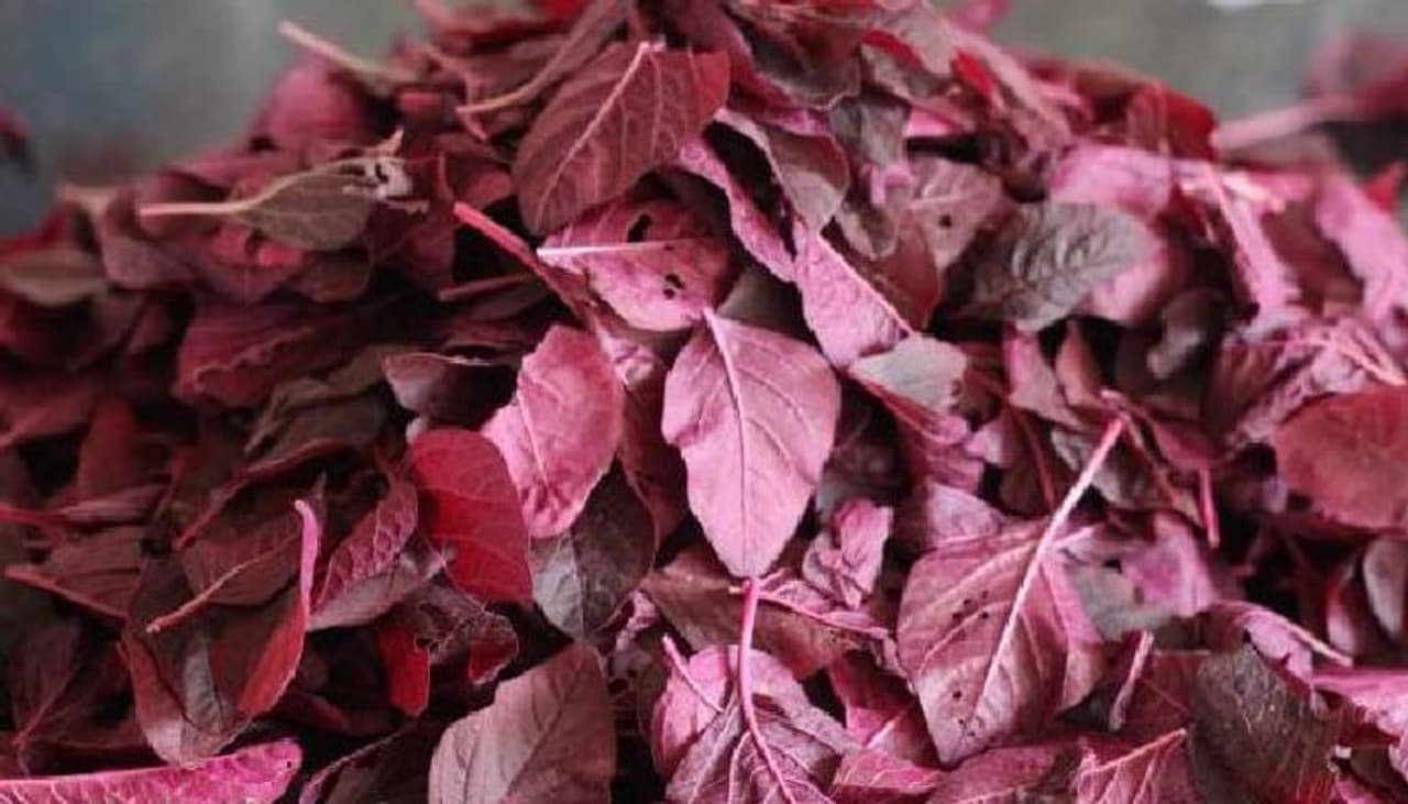 <p><strong>ഒന്ന്...</strong></p><p>&nbsp;</p><p>വിറ്റാമിനുകള്‍, ധാതുക്കള്‍, മറ്റ് പോഷകങ്ങള്‍ തുടങ്ങിയവയുടെ നല്ല സ്രോതസ്സാണ്&nbsp;ഇലക്കറികള്‍. ചീര പോലുള്ള കലോറി കുറഞ്ഞ ഇലക്കറികള്‍ പ്രമേഹരോഗികള്‍ ഉറപ്പായും ഡയറ്റില്‍ ഉള്‍പ്പെടുത്തണം. &nbsp;ആന്‍റിഓക്സിഡന്‍റുകള്‍ ധാരാളം അടങ്ങിയ ഇവ രക്തത്തിലെ പഞ്ചസാരയുടെ അളവിനെ നിയന്ത്രിക്കും. അതിനാല്‍ ഉച്ചയ്ക്ക് ചോറിന്‍റെ അളവ് കുറച്ച് ചീരയുടെ അളവ് കൂട്ടാന്‍ ശ്രമിക്കുക. വിറ്റാമിന്‍ സി ധാരാളം അടങ്ങിയ ചീര പ്രതിരോധശേഷി വര്‍ധിപ്പിക്കാനും സഹായിക്കും.&nbsp;</p>