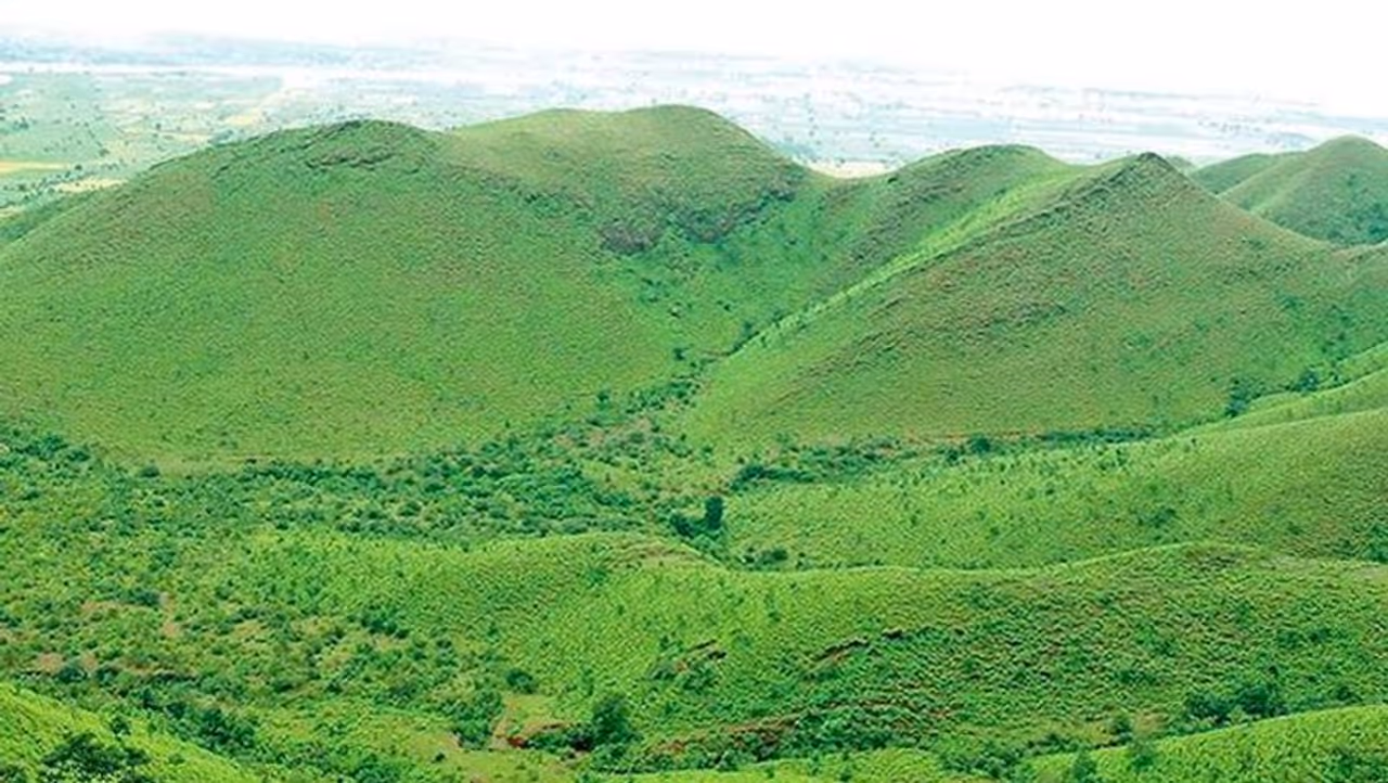 <p>ಮನುಷ್ಯರಿಗೆ ಗೊತ್ತಾಗದ ಈ ಗುಣ ಕುರಿಗಳಿಗೆ ಗೊತ್ತಾಗಿದೆ ಎನ್ನುವುದು ಮಾತ್ರ ಅಷ್ಟೇ ಸೋಜಿಗದ ಸಂಗತಿಯಾಗಿದೆ. ಉತ್ತರ ಕರ್ನಾಟಕದ ಪ್ರಮುಖ ಪ್ರವಾಸಿ ಸ್ಥಾನ ಎಂದು ಗುರುತಿಸಿಕೊಂಡಿರುವ ಕಪ್ಪತ್ತಗುಡ್ಡದ ಮಣ್ಣಿನಲ್ಲಿಯೂ ಔಷಧವಿದೆ ಕುರಿಗಳು ಈ ಮಣ್ಣು ತಿಂದು ತಮ್ಮ ಆರೋಗ್ಯ ಕಾಪಾಡಿಕೊಳ್ಳುತ್ತಿರುವುದು ಕೂಡಾ ಅಷ್ಟೇ ವಿಶೇಷವಾಗಿದೆ.</p> <p>ಮನುಷ್ಯರಿಗೆ ಗೊತ್ತಾಗದ ಈ ಗುಣ ಕುರಿಗಳಿಗೆ ಗೊತ್ತಾಗಿದೆ ಎನ್ನುವುದು ಮಾತ್ರ ಅಷ್ಟೇ ಸೋಜಿಗದ ಸಂಗತಿಯಾಗಿದೆ. ಉತ್ತರ ಕರ್ನಾಟಕದ ಪ್ರಮುಖ ಪ್ರವಾಸಿ ಸ್ಥಾನ ಎಂದು ಗುರುತಿಸಿಕೊಂಡಿರುವ ಕಪ್ಪತ್ತಗುಡ್ಡದ ಮಣ್ಣಿನಲ್ಲಿಯೂ ಔಷಧವಿದೆ ಕುರಿಗಳು ಈ ಮಣ್ಣು ತಿಂದು ತಮ್ಮ ಆರೋಗ್ಯ ಕಾಪಾಡಿಕೊಳ್ಳುತ್ತಿರುವುದು ಕೂಡಾ ಅಷ್ಟೇ ವಿಶೇಷವಾಗಿದೆ.</p>