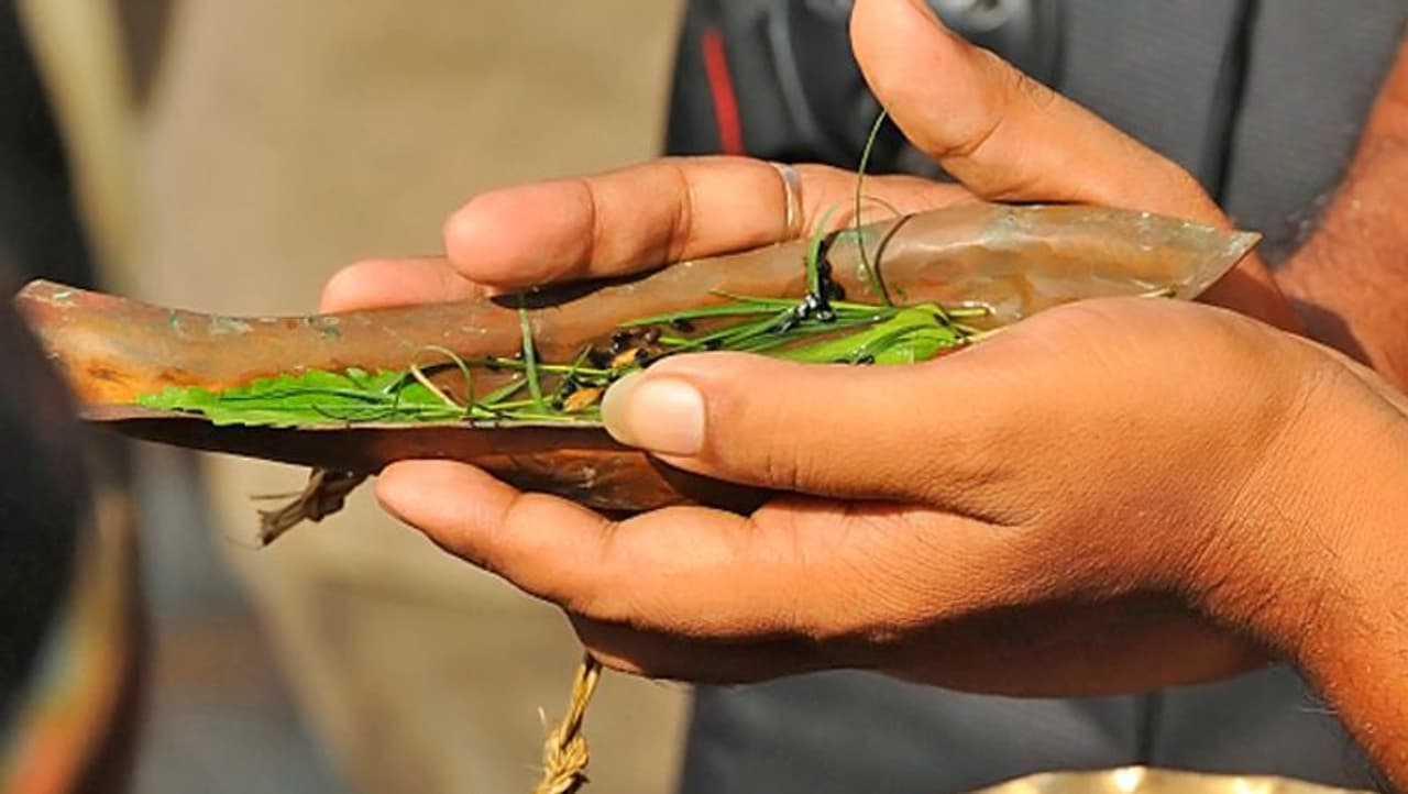 ಮರಣದ ದಿನಾಂಕದ ಪ್ರಕಾರ ಶ್ರಾದ್ಧ