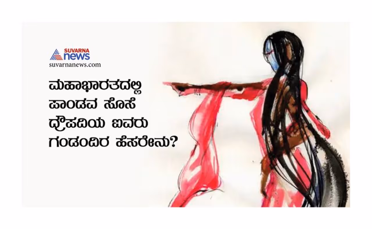 <p>ಯುಧಿಷ್ಠರ, ಭೀಮ, ಅರ್ಜುನ, ನಕುಲ, ಸಹದೇವ</p>