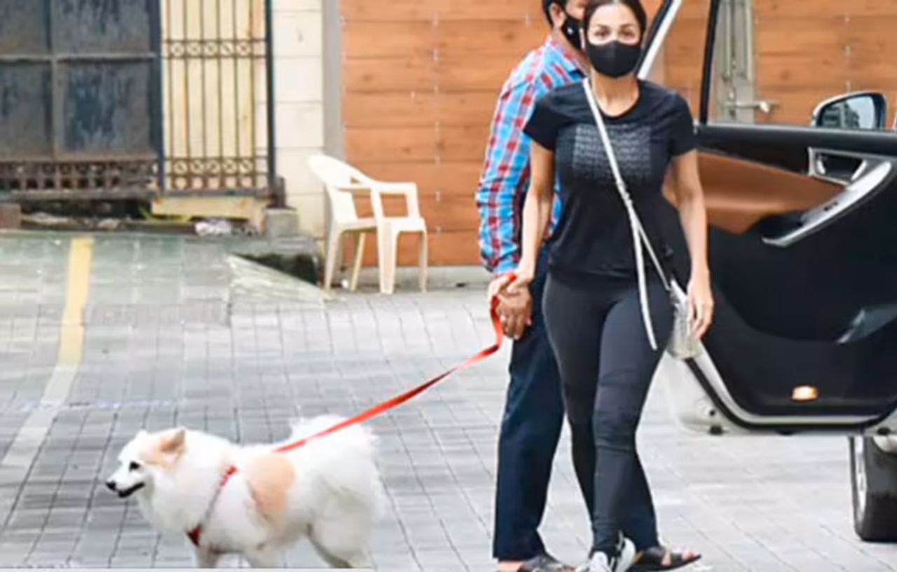 <p>ಬಾಲಿವುಡ್ ನಟಿ ಮಲೈಕಾ ಅರೋರಾ ಇತ್ತೀಚೆಗಷ್ಟೇ ಮುಂಬೈನ ಸ್ಟ್ರೀಟ್ನಲ್ಲಿ ಕಾಣಿಸಿಕೊಂಡಿದ್ರು. ಕಳೆದ ಕೆಲವು ತಿಂಗಳಿಂದ ಮನೆಯೊಳಗೇ ಇದ್ದ ಚೈಂಯಾ ಚೈಂಯಾ ಸಾಂಗ್ ಖ್ಯಾತಿಯ ನಟಿ ಡ್ಯಾನ್ಸ್ ರಿಯಾಲಿಟಿ ಶೋ ಕಾರ್ಯಕ್ರಮದ ಶೂಟಿಂಗ್ ಕೆಲಸ ಕೂಡಾ ಆರಂಭಿಸಿದ್ದಾರೆ.</p> <p>ಬಾಲಿವುಡ್ ನಟಿ ಮಲೈಕಾ ಅರೋರಾ ಇತ್ತೀಚೆಗಷ್ಟೇ ಮುಂಬೈನ ಸ್ಟ್ರೀಟ್ನಲ್ಲಿ ಕಾಣಿಸಿಕೊಂಡಿದ್ರು. ಕಳೆದ ಕೆಲವು ತಿಂಗಳಿಂದ ಮನೆಯೊಳಗೇ ಇದ್ದ ಚೈಂಯಾ ಚೈಂಯಾ ಸಾಂಗ್ ಖ್ಯಾತಿಯ ನಟಿ ಡ್ಯಾನ್ಸ್ ರಿಯಾಲಿಟಿ ಶೋ ಕಾರ್ಯಕ್ರಮದ ಶೂಟಿಂಗ್ ಕೆಲಸ ಕೂಡಾ ಆರಂಭಿಸಿದ್ದಾರೆ.</p>