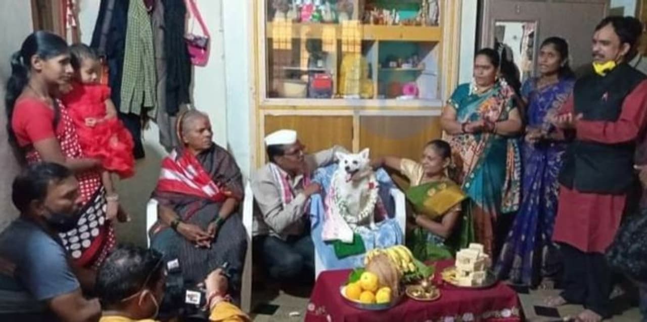 <p>ವಿಜಯಪುರದ ಸಾಮಾಜಿಕ ಹೋರಾಟಗಾರ ಪ್ರಕಾಶ ಕುಂಬಾರ ಎಂಬಾತರ ಮನೆಯಲ್ಲಿ ಸೀಮಂತ ಕಾರ್ಯ ನಡೆದಿದೆ.</p> <p>ವಿಜಯಪುರದ ಸಾಮಾಜಿಕ ಹೋರಾಟಗಾರ ಪ್ರಕಾಶ ಕುಂಬಾರ ಎಂಬಾತರ ಮನೆಯಲ್ಲಿ ಸೀಮಂತ ಕಾರ್ಯ ನಡೆದಿದೆ.</p>