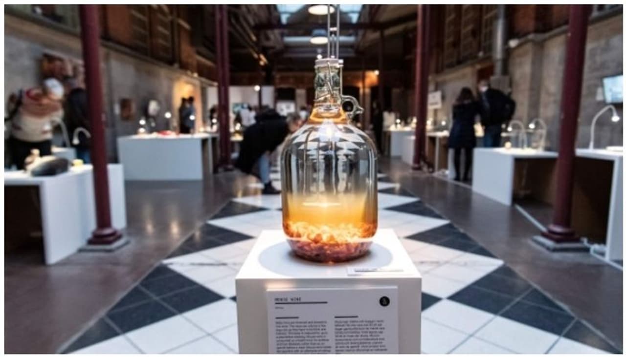 <h2><br />തുപ്പലില് പുളിപ്പിച്ച് തയ്യാറാക്കിയ വൈന്, ജയിലിലെ ശുചിമുറികളില് വച്ച് പുളിപ്പിച്ച മദ്യം, അണ്ണാന്റെ തോലിനുള്ളില് സൂക്ഷിച്ച സ്കോട്ടിഷ് മദ്യം. ലോകത്തിലെ തന്നെ വിചിത്രമായ ഭക്ഷണ വസ്തുക്കള് രുചിക്കാനും ആസ്വദിക്കാനും കാണാനും അവസരമൊരുക്കുന്ന ഒരു മ്യൂസിയത്തിലെ കാഴ്ചകളില് ചിലതാണ് ഇവ. </h2><h2><br />ചിത്രത്തിന് കടപ്പാട് : disgustingfoodmuseum</h2> <h2><br />തുപ്പലില് പുളിപ്പിച്ച് തയ്യാറാക്കിയ വൈന്, ജയിലിലെ ശുചിമുറികളില് വച്ച് പുളിപ്പിച്ച മദ്യം, അണ്ണാന്റെ തോലിനുള്ളില് സൂക്ഷിച്ച സ്കോട്ടിഷ് മദ്യം. ലോകത്തിലെ തന്നെ വിചിത്രമായ ഭക്ഷണ വസ്തുക്കള് രുചിക്കാനും ആസ്വദിക്കാനും കാണാനും അവസരമൊരുക്കുന്ന ഒരു മ്യൂസിയത്തിലെ കാഴ്ചകളില് ചിലതാണ് ഇവ. </h2><h2><br />ചിത്രത്തിന് കടപ്പാട് : disgustingfoodmuseum</h2>