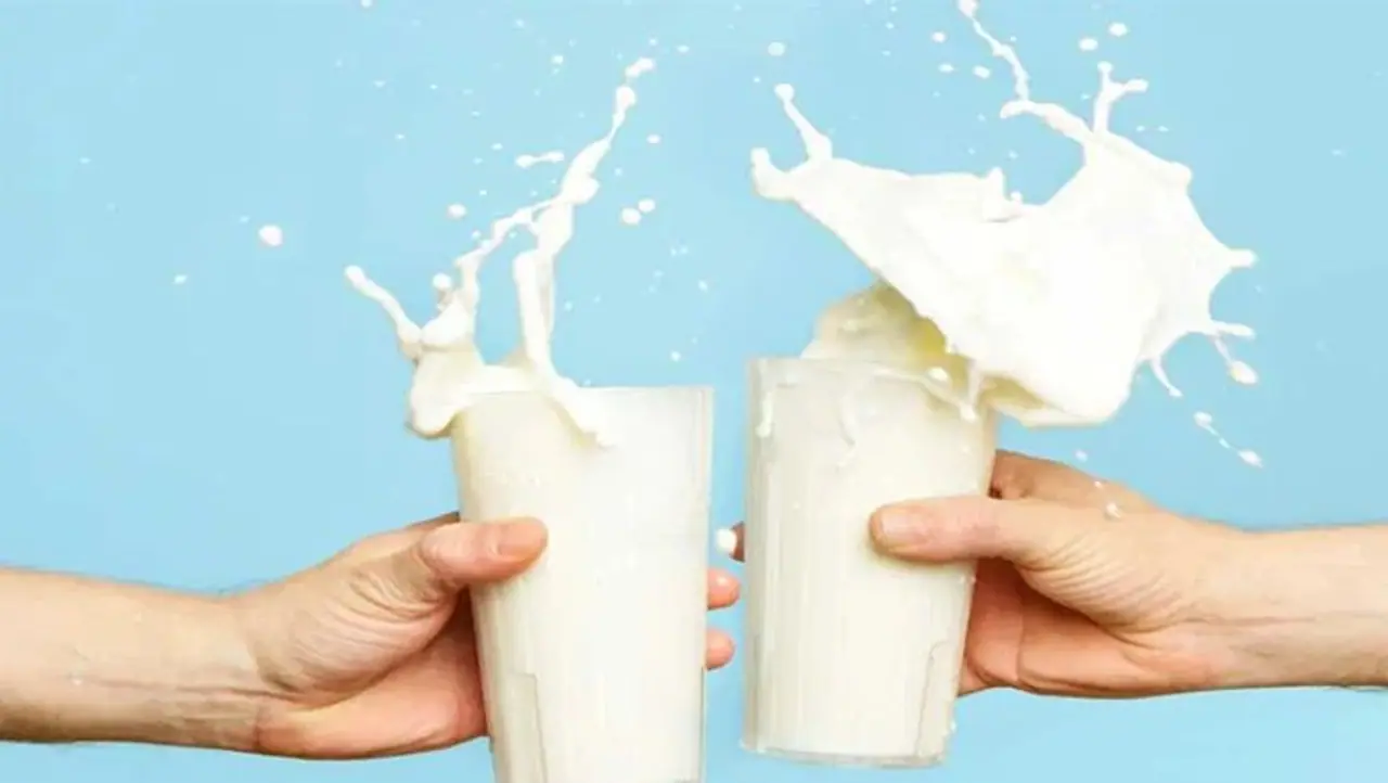 <p>Remember the time when your mother would chase you around the room to make you finish your glassful of milk? What is it about the beverage that your parents were so adamant on you finishing the glassful, was a question that has crossed most of our minds.</p> <p>Remember the time when your mother would chase you around the room to make you finish your glassful of milk? What is it about the beverage that your parents were so adamant on you finishing the glassful, was a question that has crossed most of our minds.</p>