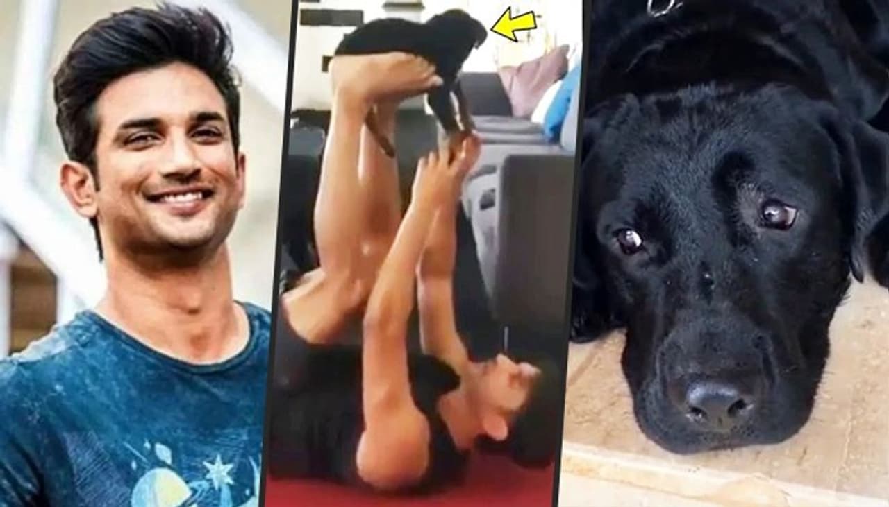 <p>Actor Sushant Singh Rajput's love for dogs was obvious in the way he used to treat his black Labrador named Fudge. We have seen many pictures and videos of Sushant and Fudge on the internet, which brought tears to our eyes.<br />&nbsp;</p>