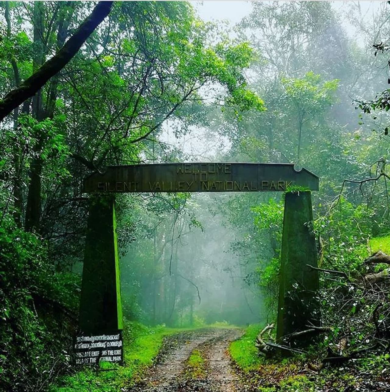 <p>പ്രകൃതിക്കു വേണ്ടി നടന്ന ഐതിഹാസികമായ പോരാട്ടങ്ങള്ക്കൊടുവില് സൈലന്റ് വാലി ദേശീയോദ്യാനമായിട്ട് 35 വര്ഷം തികയുന്നു. കേരള ചരിത്രത്തിലെ സമാനതകളില്ലാത്ത പാരിസ്ഥിതിക പോരാട്ടത്തിന്റെ വിജയചിഹ്നമാണ് സൈലന്റ് വാലി. </p> <p>പ്രകൃതിക്കു വേണ്ടി നടന്ന ഐതിഹാസികമായ പോരാട്ടങ്ങള്ക്കൊടുവില് സൈലന്റ് വാലി ദേശീയോദ്യാനമായിട്ട് 35 വര്ഷം തികയുന്നു. കേരള ചരിത്രത്തിലെ സമാനതകളില്ലാത്ത പാരിസ്ഥിതിക പോരാട്ടത്തിന്റെ വിജയചിഹ്നമാണ് സൈലന്റ് വാലി. </p>