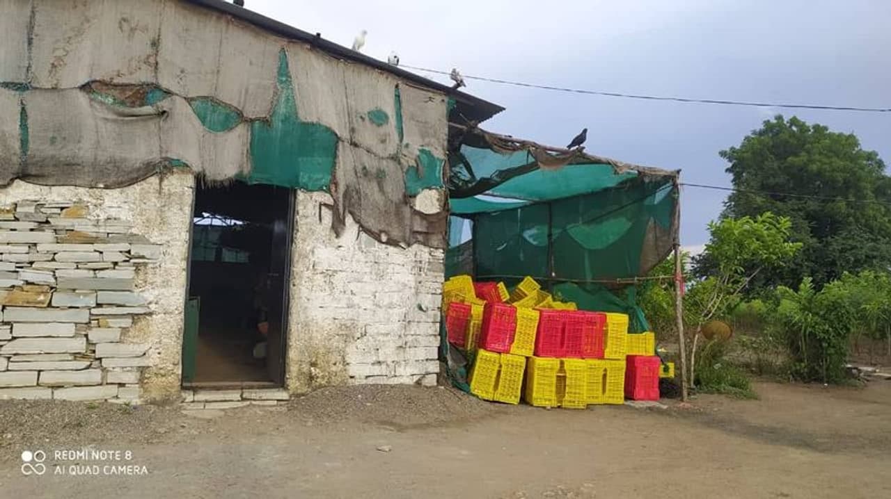 <p>ಬೆಂಗಳೂರು ಪೊಲೀಸ್ ಆಯುಕ್ತ ಕಮಲ್ ಪಂತ್ ಸುದ್ದಿ ಗೋಷ್ಠಿ ನಡೆಸಿ ಮಾಹಿತಿ ನೀಡಿದ್ದಾರೆ. ಶೇಷಾದ್ರಿಪುರಂ ಪೊಲೀಸರು ಒಂದು ವಾರದ ಕೆಳಗೆ 2 ಕೆಜಿ ಗಾಂಜಾ ವಶಪಡಿಸಿಕೊಂಡಿದ್ರು.</p> <p>ಬೆಂಗಳೂರು ಪೊಲೀಸ್ ಆಯುಕ್ತ ಕಮಲ್ ಪಂತ್ ಸುದ್ದಿ ಗೋಷ್ಠಿ ನಡೆಸಿ ಮಾಹಿತಿ ನೀಡಿದ್ದಾರೆ. ಶೇಷಾದ್ರಿಪುರಂ ಪೊಲೀಸರು ಒಂದು ವಾರದ ಕೆಳಗೆ 2 ಕೆಜಿ ಗಾಂಜಾ ವಶಪಡಿಸಿಕೊಂಡಿದ್ರು.</p>