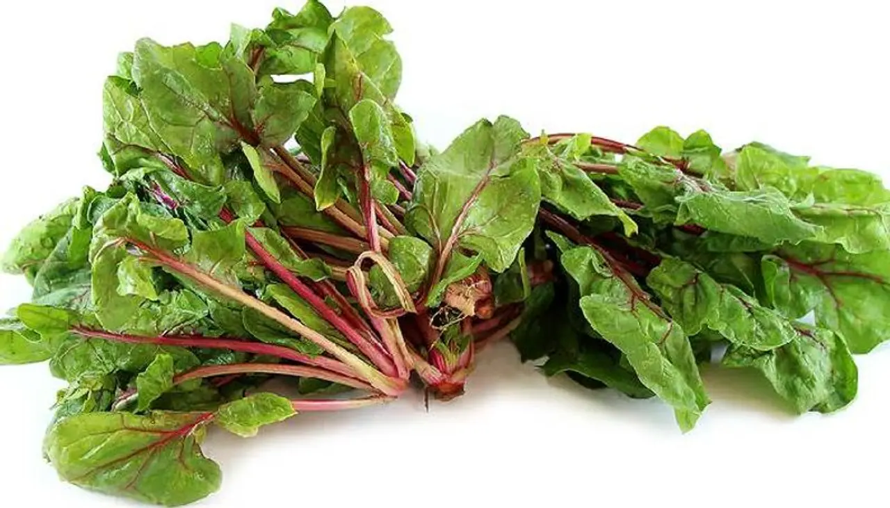 <p>ഈ ജ്യൂസ് തയ്യാറാക്കാനായി ആദ്യം വേണ്ടത് പച്ച ചീരയാണ്. ഭക്ഷണത്തില് നമ്മള് സ്ഥിരമായി ഉള്പ്പെടുത്തുന്ന ഒരു ഇലക്കറിയാണ് ചീര. ശരീരത്തിന് ആവശ്യമായ ധാരാളം പോഷകഗുണങ്ങളുള്ളതാണ് ഇവ. വിറ്റാമിന് എ, സി, ഇ, കെ, പൊട്ടാസ്യം, കാത്സ്യം തുടങ്ങിയ ഒട്ടേറെ ഘടകങ്ങള് അടങ്ങിയ ചീര പ്രതിരോധശേഷി വര്ധിപ്പിക്കാനും ഒപ്പം വണ്ണം കുറയ്ക്കാനും സഹായിക്കും. ഫൈബര് ധാരാളം അടങ്ങിയ ചീര കൊണ്ടുള്ള ജ്യൂസ് കുടിക്കുന്നത് വിശപ്പിനെ നിയന്ത്രിക്കാന് കഴിയും. </p> <p>ഈ ജ്യൂസ് തയ്യാറാക്കാനായി ആദ്യം വേണ്ടത് പച്ച ചീരയാണ്. ഭക്ഷണത്തില് നമ്മള് സ്ഥിരമായി ഉള്പ്പെടുത്തുന്ന ഒരു ഇലക്കറിയാണ് ചീര. ശരീരത്തിന് ആവശ്യമായ ധാരാളം പോഷകഗുണങ്ങളുള്ളതാണ് ഇവ. വിറ്റാമിന് എ, സി, ഇ, കെ, പൊട്ടാസ്യം, കാത്സ്യം തുടങ്ങിയ ഒട്ടേറെ ഘടകങ്ങള് അടങ്ങിയ ചീര പ്രതിരോധശേഷി വര്ധിപ്പിക്കാനും ഒപ്പം വണ്ണം കുറയ്ക്കാനും സഹായിക്കും. ഫൈബര് ധാരാളം അടങ്ങിയ ചീര കൊണ്ടുള്ള ജ്യൂസ് കുടിക്കുന്നത് വിശപ്പിനെ നിയന്ത്രിക്കാന് കഴിയും. </p>