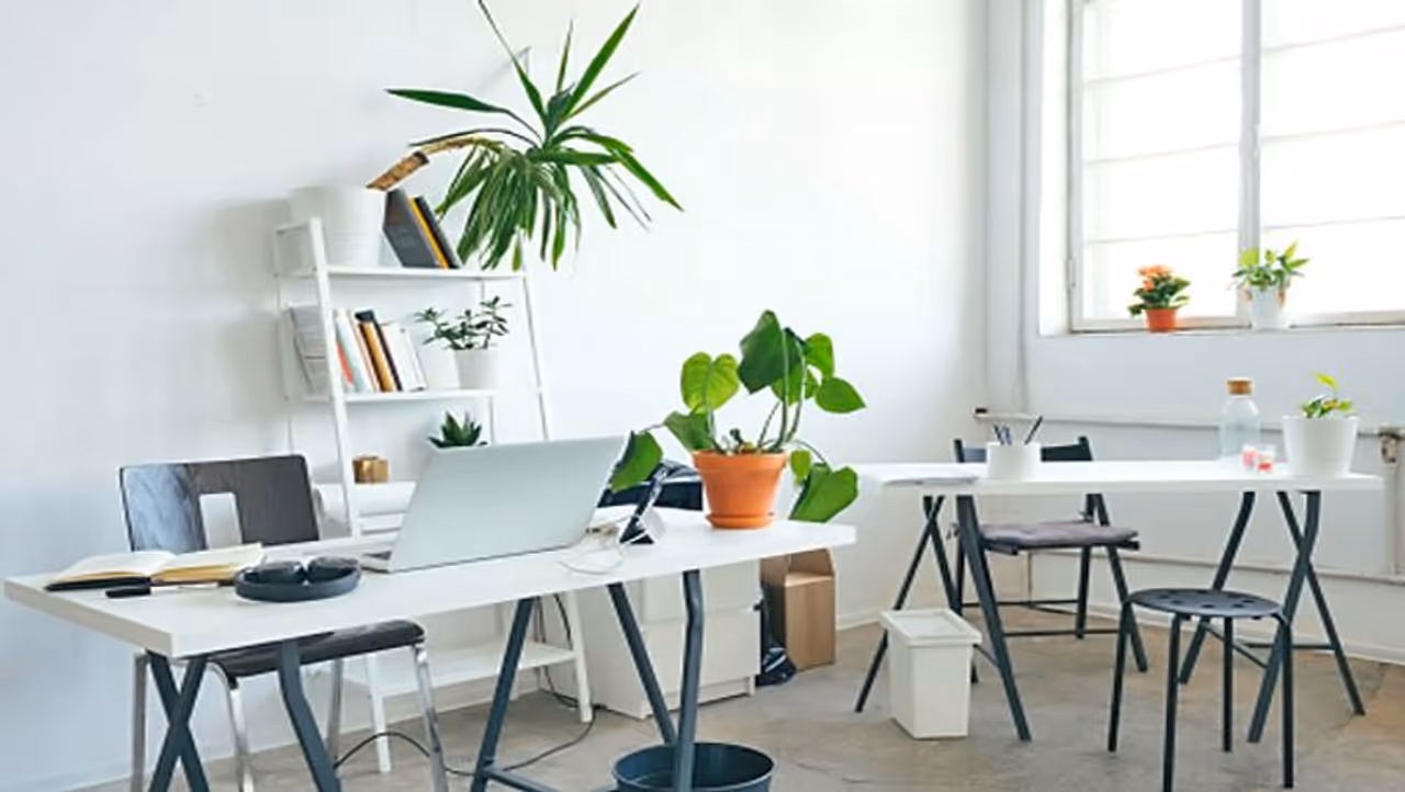 <p>ದೊಡ್ಡ ಕೋಣೆಯಂತೆ ಕಾಣಲು, ಪ್ರಕಾಶಮಾನವಾದ ಅಥವಾ ಡಾರ್ಕ್ಗಿಂತ ಹಗುರವಾದ ಬಣ್ಣದ ಪೈಂಟಿಂಗ್ ಮಾಡಿಸಿ. ಪೇಸ್ಟಲ್ಗಳು ಮತ್ತು ಬಿಳಿ ಬಣ್ಣ ಸಹ ಪೈಂಟಿಂಗ್ ಮಾಡಿಸಬಹುದು.</p> <p>ದೊಡ್ಡ ಕೋಣೆಯಂತೆ ಕಾಣಲು, ಪ್ರಕಾಶಮಾನವಾದ ಅಥವಾ ಡಾರ್ಕ್ಗಿಂತ ಹಗುರವಾದ ಬಣ್ಣದ ಪೈಂಟಿಂಗ್ ಮಾಡಿಸಿ. ಪೇಸ್ಟಲ್ಗಳು ಮತ್ತು ಬಿಳಿ ಬಣ್ಣ ಸಹ ಪೈಂಟಿಂಗ್ ಮಾಡಿಸಬಹುದು.</p>