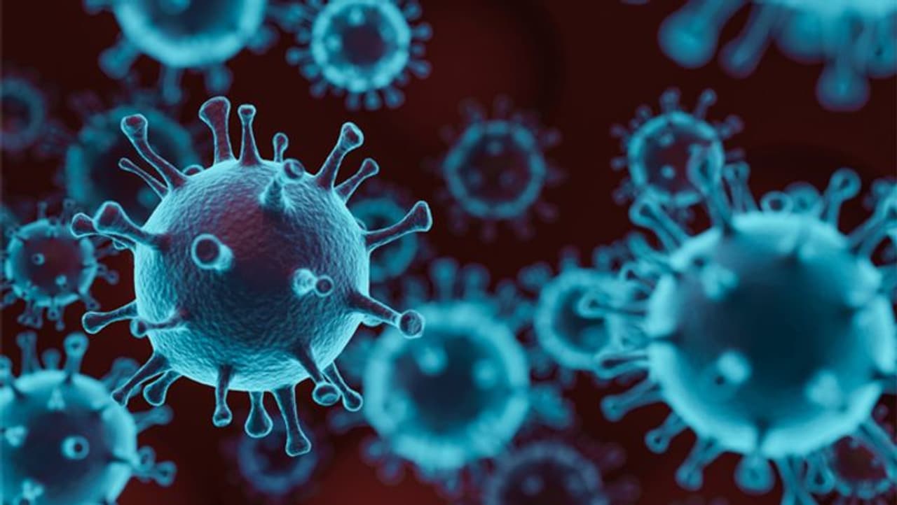 <p>The number of single day coronavirus cases globally has hit a new record high, said the World Health Organization (WHO).</p> <p>The number of single day coronavirus cases globally has hit a new record high, said the World Health Organization (WHO).</p>