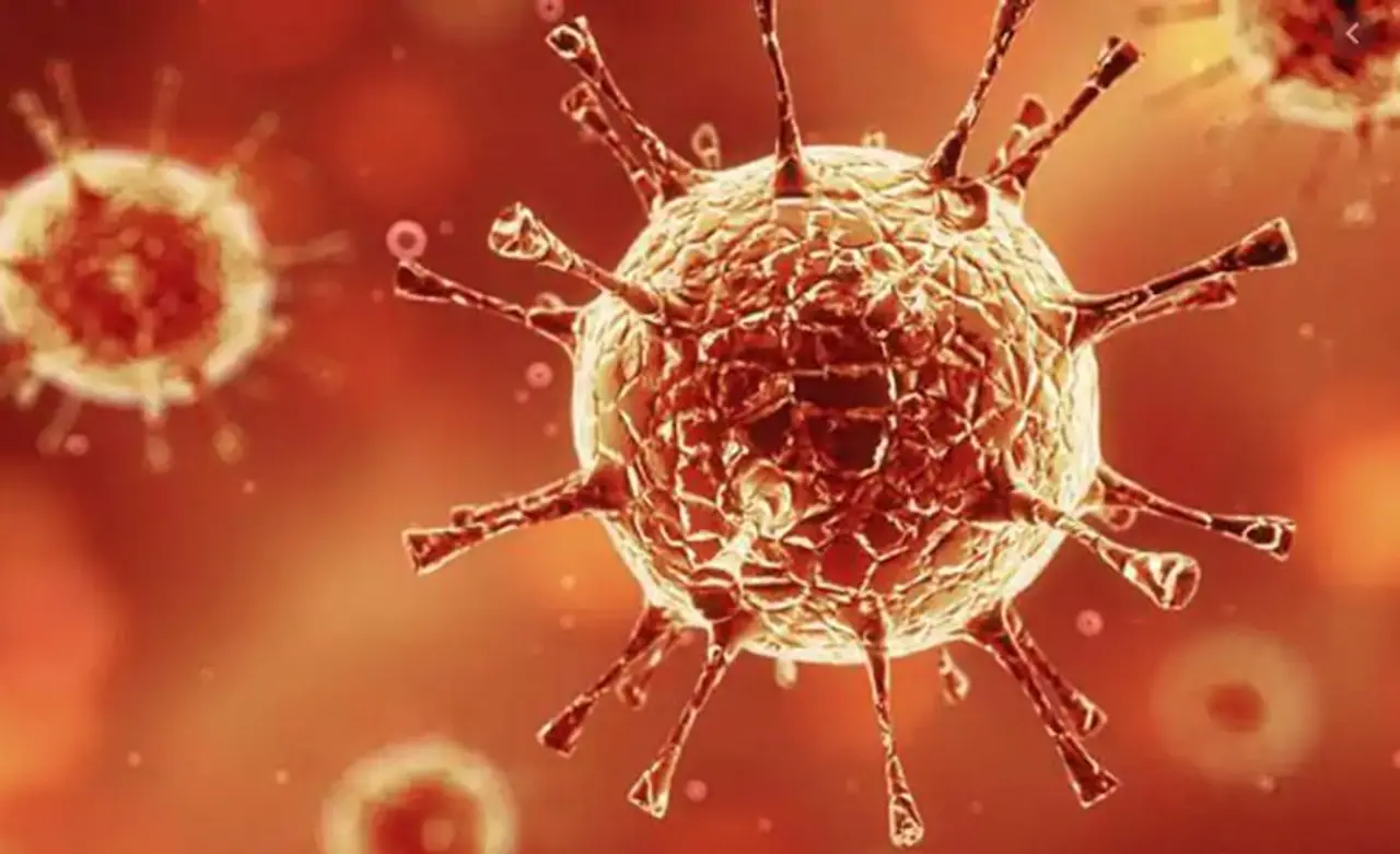 <p>India's COVID 19 tally reached 54.88 lakh with 86,961 people being infected in the past 24 hours, while 43,96,399 people have recuperated so far pushing the national recovery rate to 80.12% on Sunday, according to the Union health ministry data.</p>