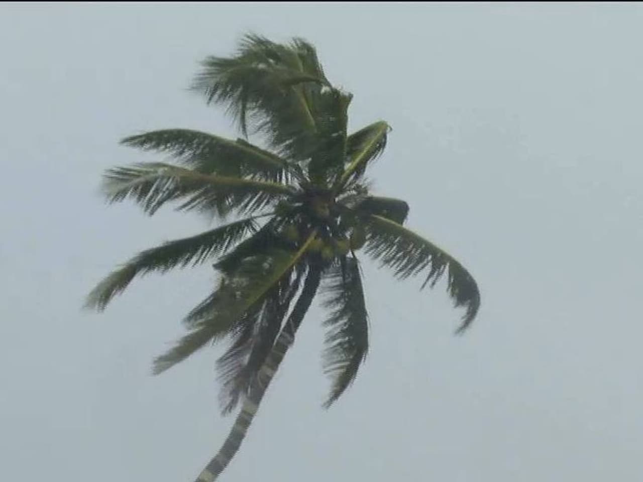 <p>കാസര്കോട്, കണ്ണൂര്, കോഴിക്കോട്, വയനാട്, മലപ്പുറം, തൃശ്ശൂര്,പാലക്കാട്, ഇടുക്കി ജില്ലകളിലാണ് റെഡ് അലര്ട്ട് പ്രഖ്യാപിച്ചത്. തിരുവനന്തപുരത്ത് യെല്ലോ അലര്ട്ടും മറ്റു ജില്ലകളിലെല്ലാം ഓറഞ്ച് അലര്ട്ടും പ്രഖ്യാപിച്ചിട്ടുണ്ട്.</p> <p>കാസര്കോട്, കണ്ണൂര്, കോഴിക്കോട്, വയനാട്, മലപ്പുറം, തൃശ്ശൂര്,പാലക്കാട്, ഇടുക്കി ജില്ലകളിലാണ് റെഡ് അലര്ട്ട് പ്രഖ്യാപിച്ചത്. തിരുവനന്തപുരത്ത് യെല്ലോ അലര്ട്ടും മറ്റു ജില്ലകളിലെല്ലാം ഓറഞ്ച് അലര്ട്ടും പ്രഖ്യാപിച്ചിട്ടുണ്ട്.</p>