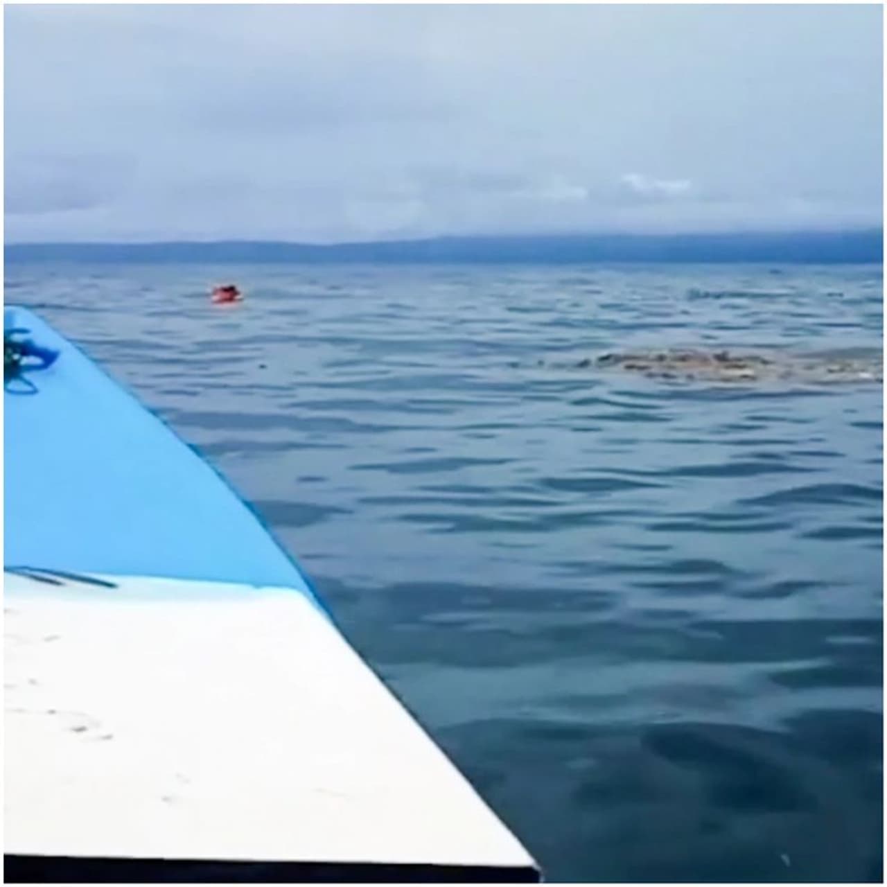 <p>മൂന്ന് ദിവസം മുന്പാണ് ഉദിന് ദിമാന് വീട്ടില് നിന്നും ഇറങ്ങിയത്, ഒരു ദിവസവും കഴിഞ്ഞ് കാണാത്തതിനെ തുടര്ന്ന് വീട്ടുകാര് അടുത്തുള്ള പൊലീസ് സ്റ്റേഷനില് അറിയിച്ചു.<br /> </p> <p>മൂന്ന് ദിവസം മുന്പാണ് ഉദിന് ദിമാന് വീട്ടില് നിന്നും ഇറങ്ങിയത്, ഒരു ദിവസവും കഴിഞ്ഞ് കാണാത്തതിനെ തുടര്ന്ന് വീട്ടുകാര് അടുത്തുള്ള പൊലീസ് സ്റ്റേഷനില് അറിയിച്ചു.<br /> </p>