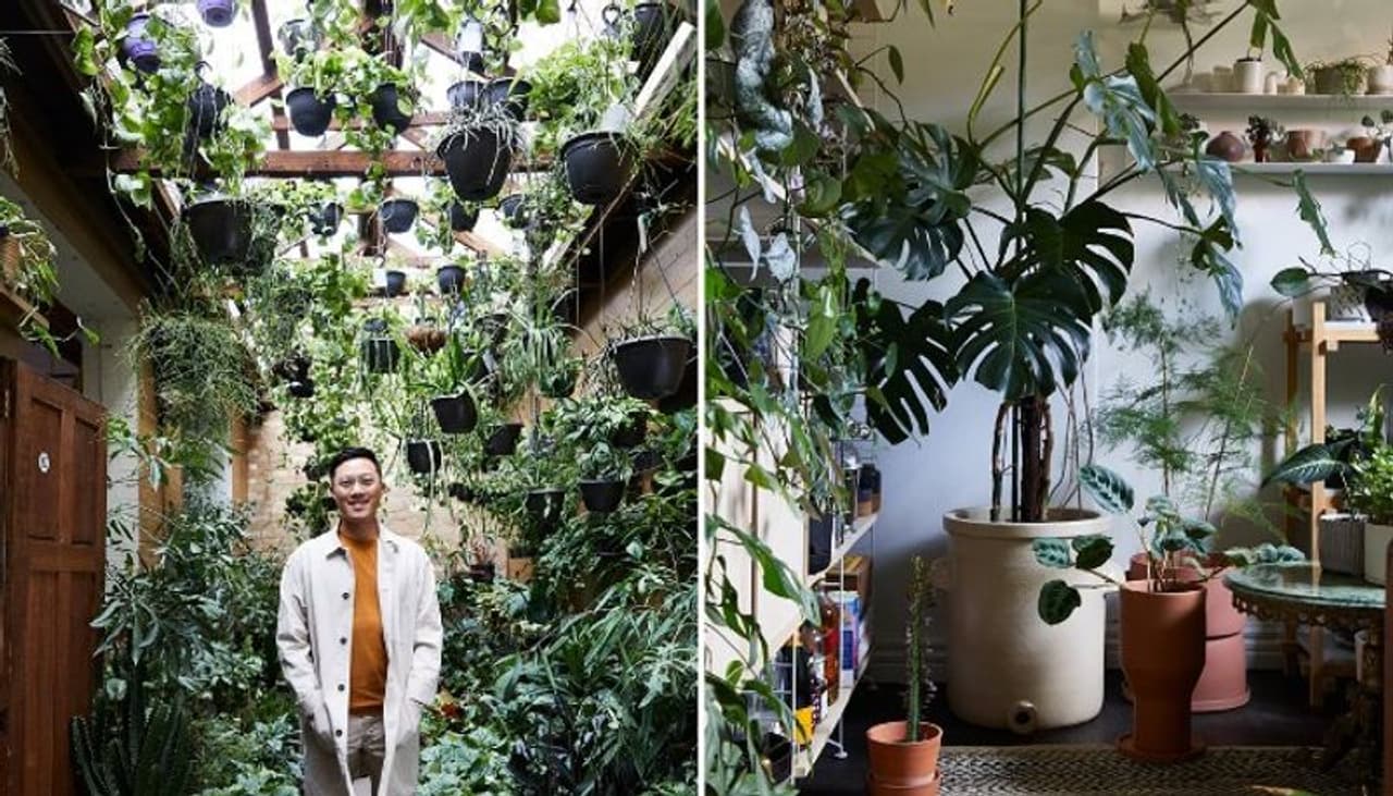 <p> </p><p>എന്നാല് വീട്ടിനകത്തും അതിമനോഹരമായി പച്ചപ്പ് പടര്ത്താനാകുമെന്ന് തെളിയിക്കുകയാണ് മെല്ബണ് സ്വദേശിയായ ഒരു ആര്ക്കിടെക്ട്.<br /> </p><p> </p> <p> </p><p>എന്നാല് വീട്ടിനകത്തും അതിമനോഹരമായി പച്ചപ്പ് പടര്ത്താനാകുമെന്ന് തെളിയിക്കുകയാണ് മെല്ബണ് സ്വദേശിയായ ഒരു ആര്ക്കിടെക്ട്.<br /> </p><p> </p>