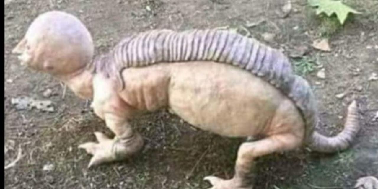 <p>Jhalda is a remote block adjacent to the Ayodhya Hills in Purulia. The small villages are surrounded by a forest.<br /> </p> <p>Jhalda is a remote block adjacent to the Ayodhya Hills in Purulia. The small villages are surrounded by a forest.<br /> </p>