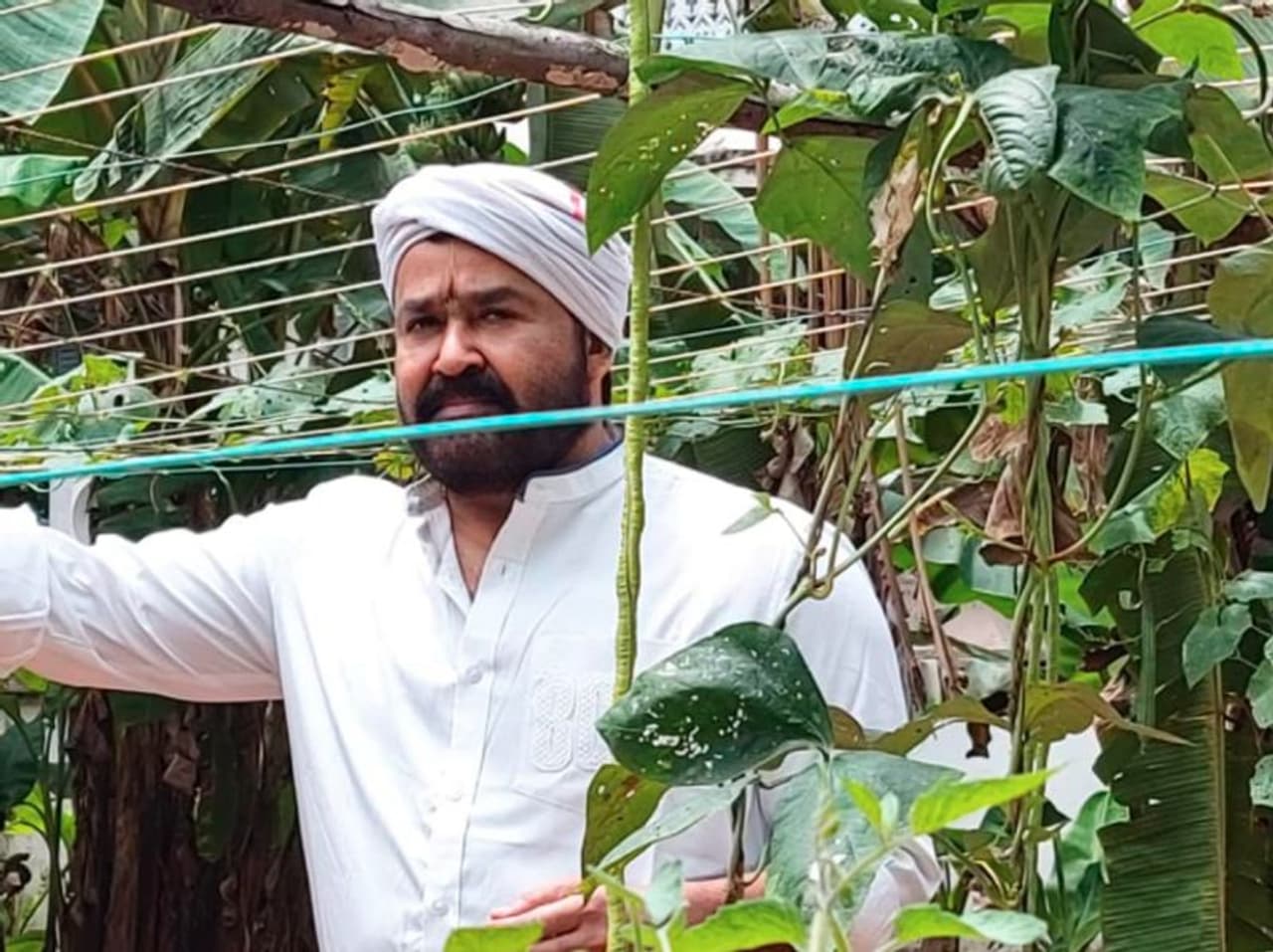 <p>ಮಾಲಿವುಡ್‌ ಸೂಪರ್‌ಸ್ಟಾತ್ ಮೋಹನ್‌ಲಾಲ್ ಕೃಷಿ ಅಂದರೆ ಅಚ್ಚುಮೆಚ್ಚು. ಲಾಕ್‌ಡೌನ್ ಟೈಂನಲ್ಲಿ ಮೋಹನ್‌ಲಾಲ್‌ ಕೃಷಿಗೆ ಇಳಿದು ಬಿಟ್ಟಿದ್ದಾರೆ.</p>