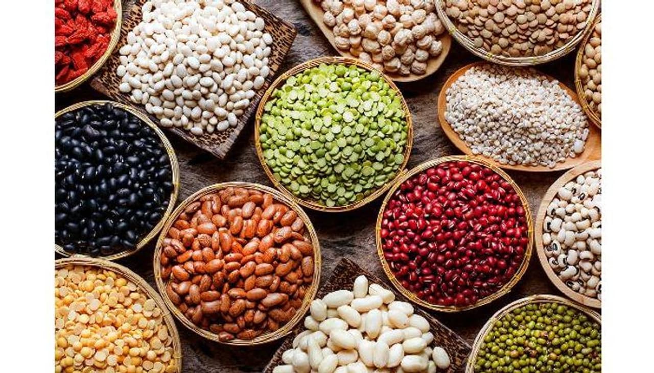 <p><strong>ഒന്ന്...</strong></p><p> </p><p>പയറുവര്ഗങ്ങളാണ് ആദ്യമായി ഈ പട്ടികയില് ഉള്പ്പെടുന്നത്. സിങ്ക് ധാരാളമായി അടങ്ങിയിരിക്കുന്ന ഭക്ഷണമാണ് പയർവർഗങ്ങൾ. ഇതിൽ കൊഴുപ്പ് കുറവാണ്, മറ്റ് അവശ്യ പോഷകങ്ങളായ പ്രോട്ടീൻ, ഫൈബർ എന്നിവയും അടങ്ങിയിട്ടുണ്ട്. അതിനാല് ഇവ ഡയറ്റില് ഉള്പ്പെടുത്തുന്നത് എല്ലുകളുടെ ആരോഗ്യത്തിന് വളരെ നല്ലതാണ്. </p><p><br /> </p> <p><strong>ഒന്ന്...</strong></p><p> </p><p>പയറുവര്ഗങ്ങളാണ് ആദ്യമായി ഈ പട്ടികയില് ഉള്പ്പെടുന്നത്. സിങ്ക് ധാരാളമായി അടങ്ങിയിരിക്കുന്ന ഭക്ഷണമാണ് പയർവർഗങ്ങൾ. ഇതിൽ കൊഴുപ്പ് കുറവാണ്, മറ്റ് അവശ്യ പോഷകങ്ങളായ പ്രോട്ടീൻ, ഫൈബർ എന്നിവയും അടങ്ങിയിട്ടുണ്ട്. അതിനാല് ഇവ ഡയറ്റില് ഉള്പ്പെടുത്തുന്നത് എല്ലുകളുടെ ആരോഗ്യത്തിന് വളരെ നല്ലതാണ്. </p><p><br /> </p>