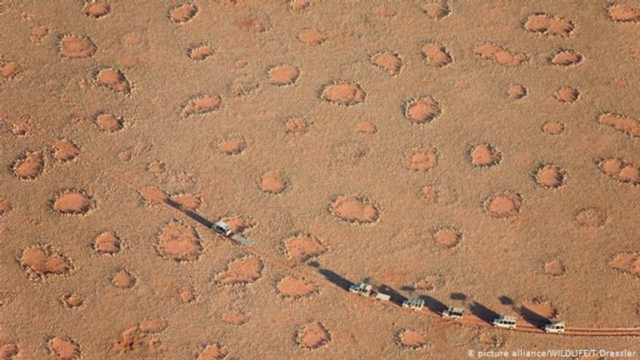 <p>ദക്ഷിണാഫ്രിക്കയിലെ നമീബ് മരുഭൂമിയിലാണ് ഇവയെ ആദ്യമായി കണ്ടത്. ലോകമെമ്പാടും സമാനമായ രീതികളില് അവ എങ്ങനെ രൂപം കൊള്ളുന്നുവെന്ന് ശാസ്ത്രജ്ഞര് വര്ഷങ്ങളായി ചര്ച്ച ചെയ്യുന്നുണ്ടെങ്കിലും ഇതാദ്യമായാണ് അതിനൊരു വിശദീകരണം നല്കാന് കഴിയുന്നത്.</p> <p>ദക്ഷിണാഫ്രിക്കയിലെ നമീബ് മരുഭൂമിയിലാണ് ഇവയെ ആദ്യമായി കണ്ടത്. ലോകമെമ്പാടും സമാനമായ രീതികളില് അവ എങ്ങനെ രൂപം കൊള്ളുന്നുവെന്ന് ശാസ്ത്രജ്ഞര് വര്ഷങ്ങളായി ചര്ച്ച ചെയ്യുന്നുണ്ടെങ്കിലും ഇതാദ്യമായാണ് അതിനൊരു വിശദീകരണം നല്കാന് കഴിയുന്നത്.</p>