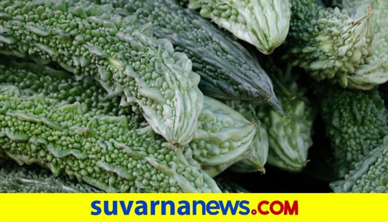 <p><br />ಸೌಂದರ್ಯದಿಂದ ಹಿಡಿದು ನಮ್ಮ ದೇಹದ ಆರೋಗ್ಯದ ರಕ್ಷಣೆಗೆ ಅತ್ಯಂತ ಪರಿಣಾಮಕಾರಿಯಾಗಿ ಹೋರಾಡುವ ಗುಣ ಲಕ್ಷಣ ಹಾಗಲಕಾಯಿಗೆ ಇದೆ.ಹಾಗಲಕಾಯಿಯ ಕೆಲವು ಗೊತ್ತಿರುವ.. ಇನ್ನೂ ಕೆಲವು ಗೊತ್ತಿಲ್ಲದ ಪ್ರಯೋಜನಗಳನ್ನೂ ತಿಳಿಯೋಣ ಬನ್ನಿ..</p>