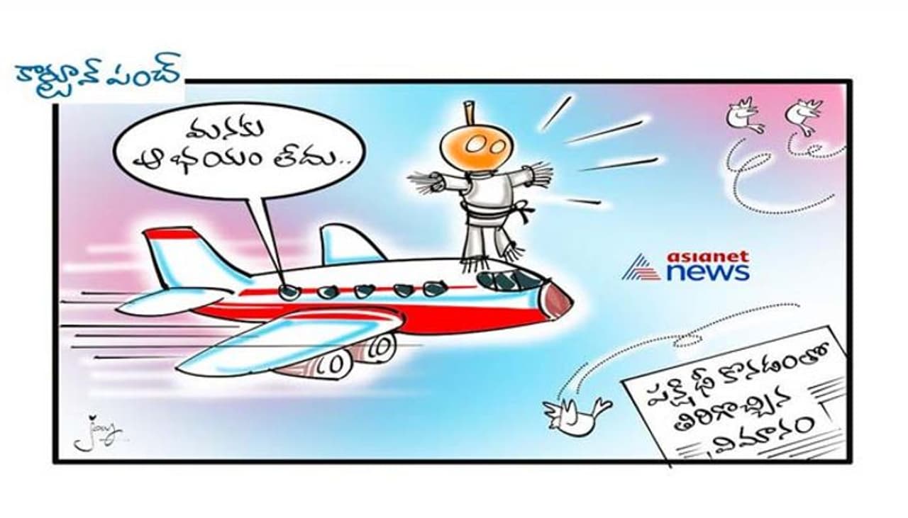 <p>cartoon</p> <p>cartoon</p>