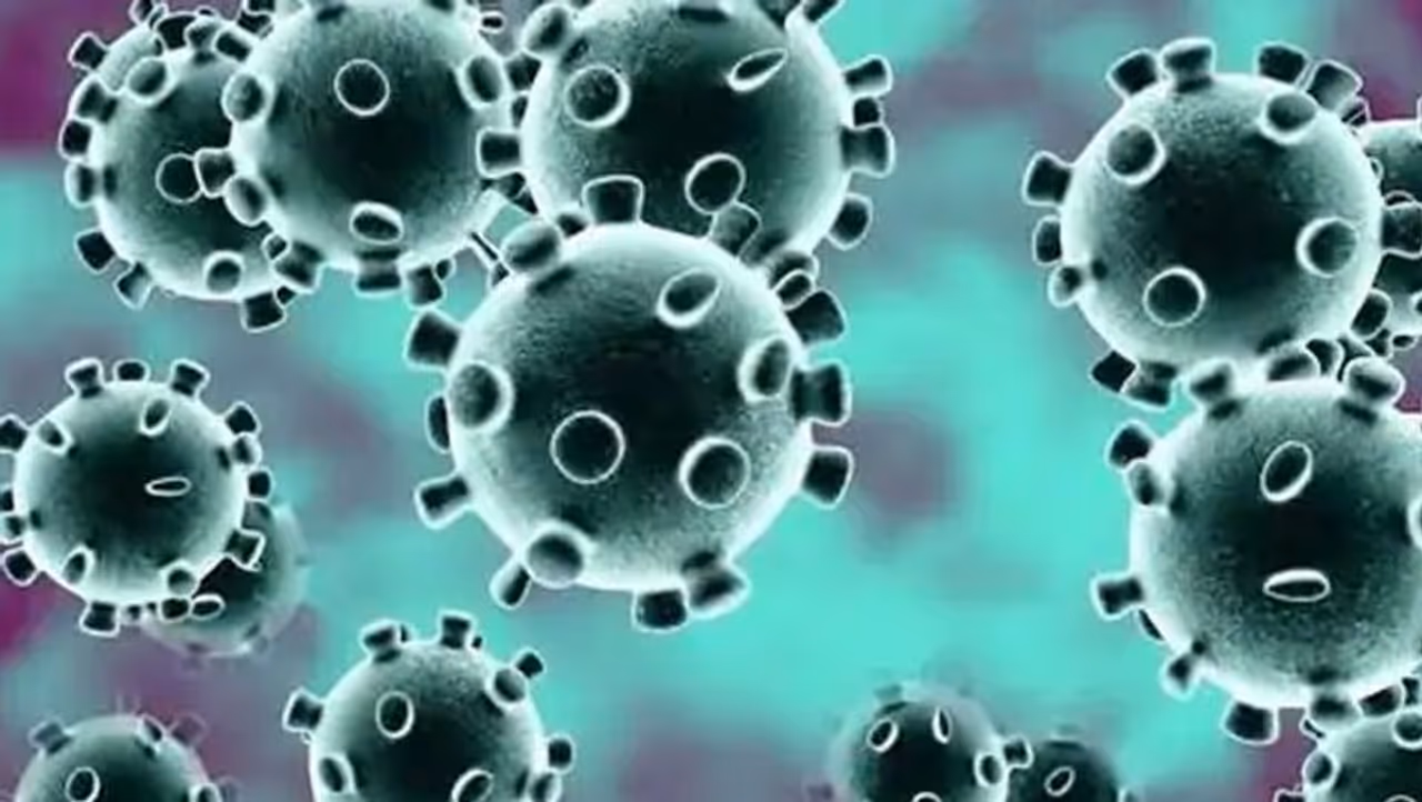 <p>India on Monday reported 46,148 new Covid 19 infections over the past 24 hours, as per the Union health ministry data. India's total Covid 19 caseload now stands at 30.27 million.</p> <p>India on Monday reported 46,148 new Covid 19 infections over the past 24 hours, as per the Union health ministry data. India's total Covid 19 caseload now stands at 30.27 million.</p>