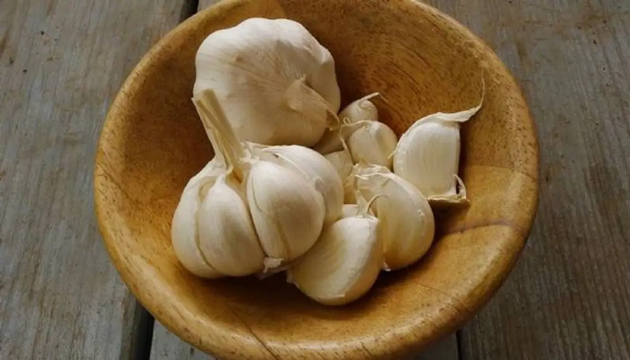 <p>ಬೆಳ್ಳುಳ್ಳಿಯನ್ನು ಫ್ರಿಜ್ನಲ್ಲಿ ಇಡುವುದು ಸರಿಯೇ? ಬೆಳ್ಳುಳಿ ಪ್ರೆಶ್ ಆಗಿರಲು ಹೀಗೆ ಸ್ಟೋರ್ ಮಾಡಬೇಕು.</p> <p>ಬೆಳ್ಳುಳ್ಳಿಯನ್ನು ಫ್ರಿಜ್ನಲ್ಲಿ ಇಡುವುದು ಸರಿಯೇ? ಬೆಳ್ಳುಳಿ ಪ್ರೆಶ್ ಆಗಿರಲು ಹೀಗೆ ಸ್ಟೋರ್ ಮಾಡಬೇಕು.</p>