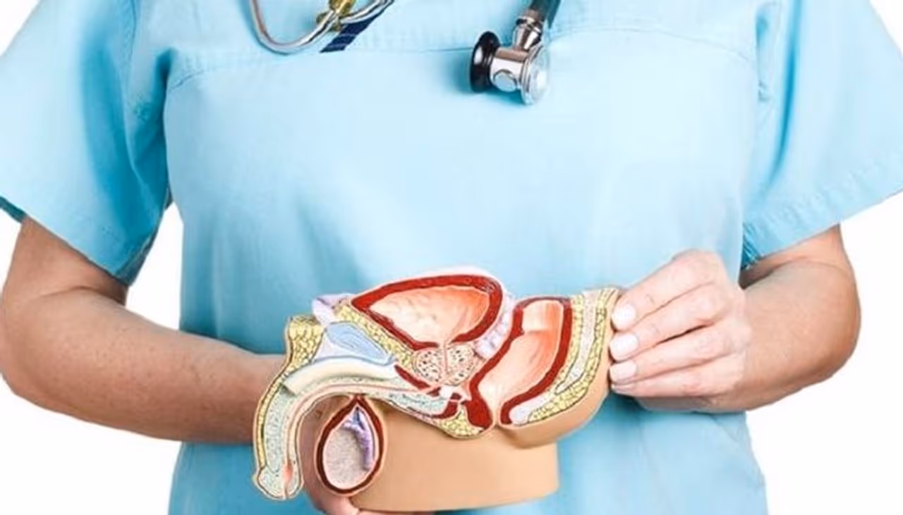 <p>&nbsp;</p><p>ആദ്യഘട്ടത്തില്‍ ലക്ഷണങ്ങളുണ്ടാകില്ല എന്നതാണ് പ്രോസ്‌റ്റേറ്റ് ക്യാന്‍സറിന്റെ പ്രത്യേകത. എന്നാല്‍ തുടര്‍ന്നങ്ങോട്ട് ചില ലക്ഷണങ്ങള്‍ കണ്ടുവരികയും ചെയ്യുന്നു. അവയില്‍ ചിലത് കൂടി വിശദമാക്കാം.<br />&nbsp;</p><p>&nbsp;</p>