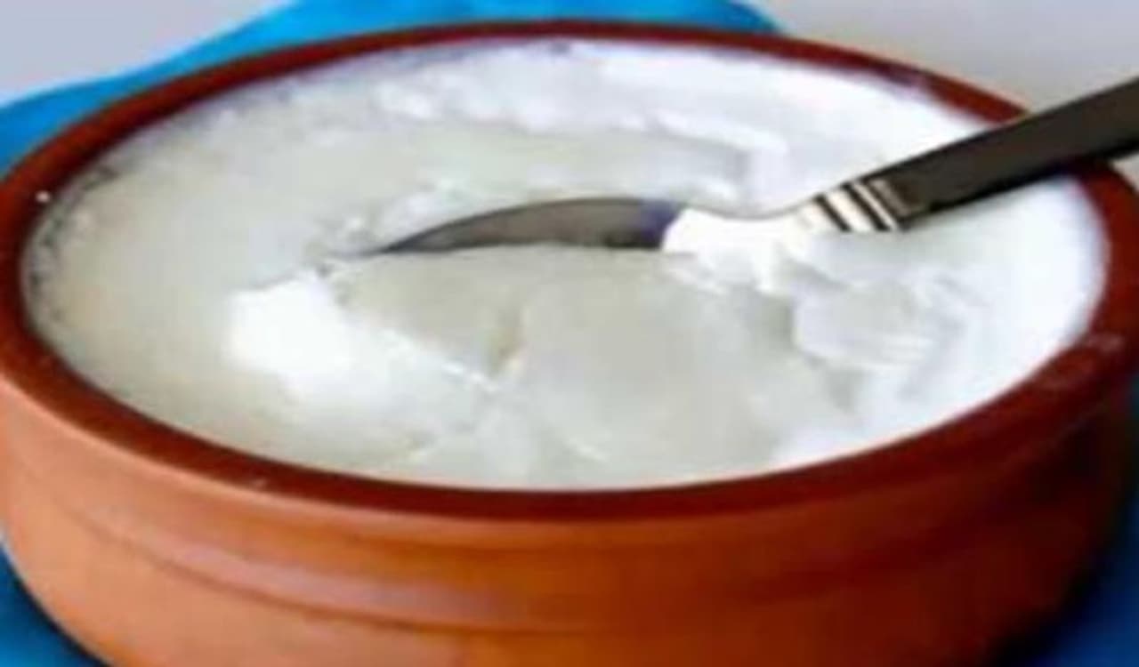 <p>ಮನೆಯಲ್ಲಿ ಸ್ವಲ್ಪ ಮೊಸರು ಬೇಕೇ ಬೇಕು. ಚಡ್ನಿ ಪುಡಿಗೆ ಸೇರಿಸಿ ದೋಸೆ ತಿನ್ನೋಕೆ, ಸ್ವಲ್ಪ ಮೊಸರನ್ನ ಮಾಡೋಕೆ, ಊಟದ ನಂತ್ರ ಸಿಹಿ ಜೊತೆ ಸೇರಿಸಿ ತಿನ್ನೋಕೆ.. ಹೀಗೆ ಎಲ್ಲದಕ್ಕೂ ಮೊಸರು ಬೇಕು.</p> <p>ಮನೆಯಲ್ಲಿ ಸ್ವಲ್ಪ ಮೊಸರು ಬೇಕೇ ಬೇಕು. ಚಡ್ನಿ ಪುಡಿಗೆ ಸೇರಿಸಿ ದೋಸೆ ತಿನ್ನೋಕೆ, ಸ್ವಲ್ಪ ಮೊಸರನ್ನ ಮಾಡೋಕೆ, ಊಟದ ನಂತ್ರ ಸಿಹಿ ಜೊತೆ ಸೇರಿಸಿ ತಿನ್ನೋಕೆ.. ಹೀಗೆ ಎಲ್ಲದಕ್ಕೂ ಮೊಸರು ಬೇಕು.</p>