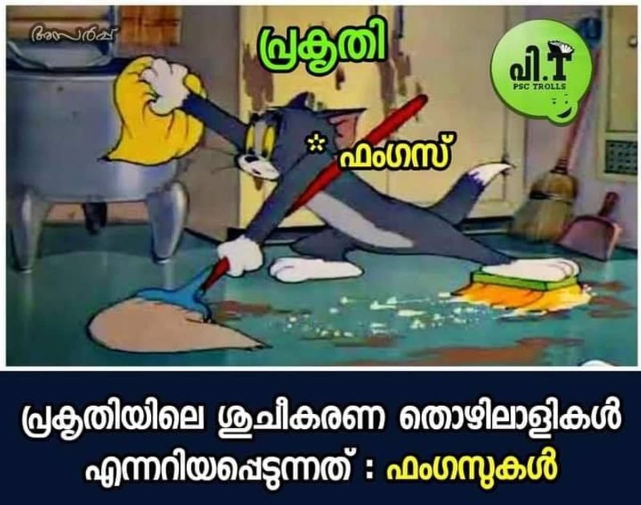 <p>ക്രെഡിറ്റ്സ്: Ashr Af, പിഎസ്സി ട്രോൾസ്</p> <p>ക്രെഡിറ്റ്സ്: Ashr Af, പിഎസ്സി ട്രോൾസ്</p>